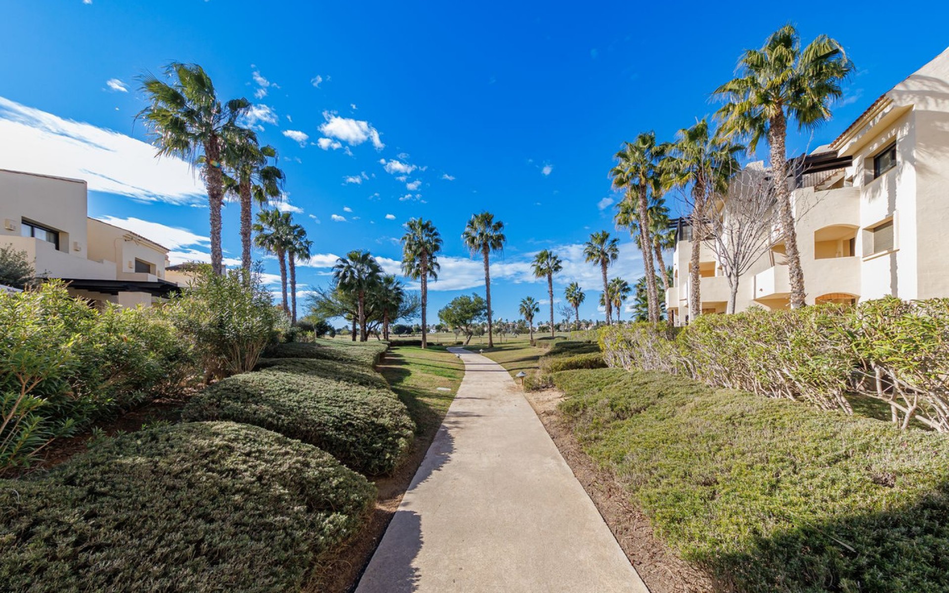 Resale - Townhouse - San Javier - Roda Golf