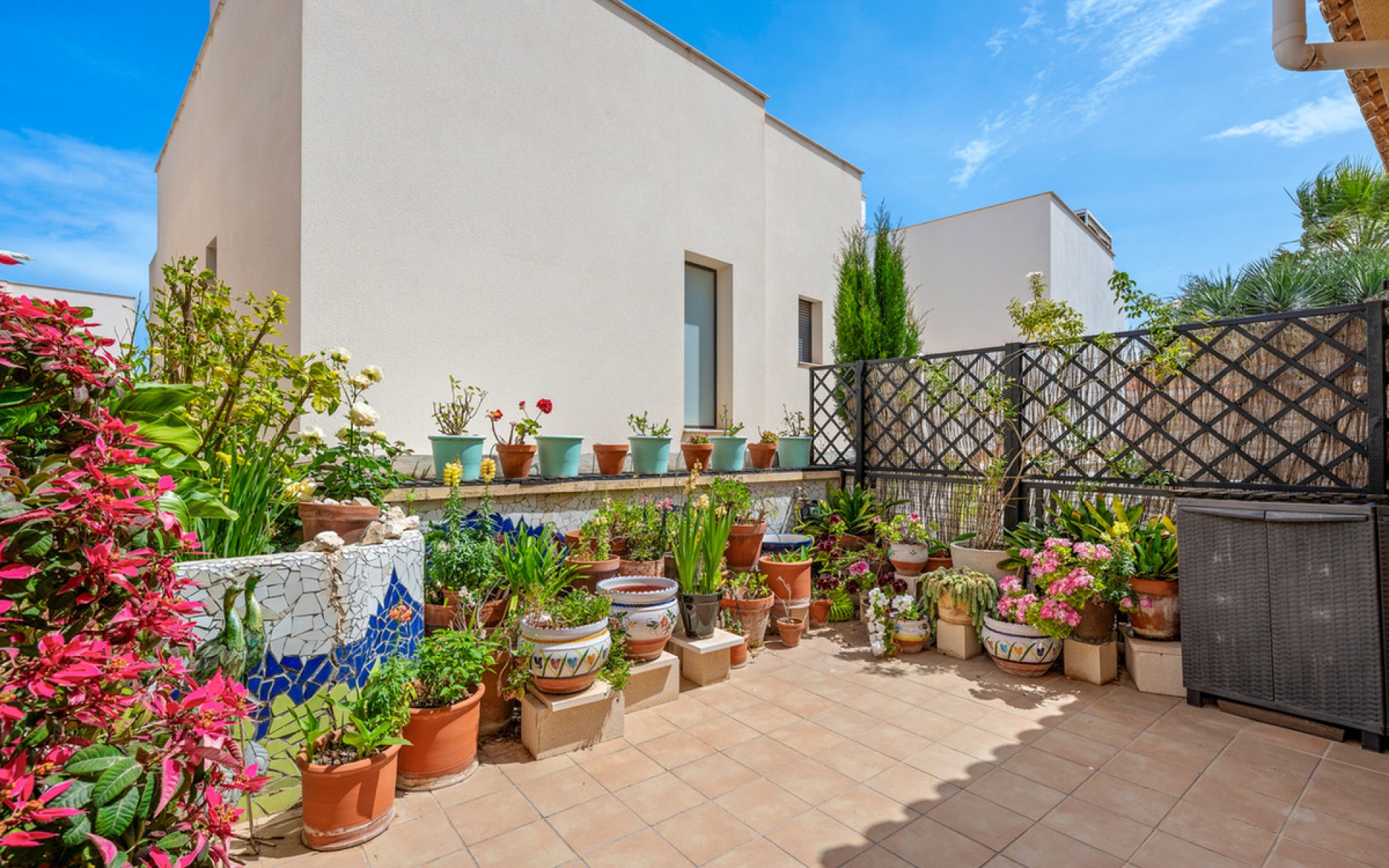 Resale - Townhouse - San Miguel De Salinas - San Miguel de Salinas Centro