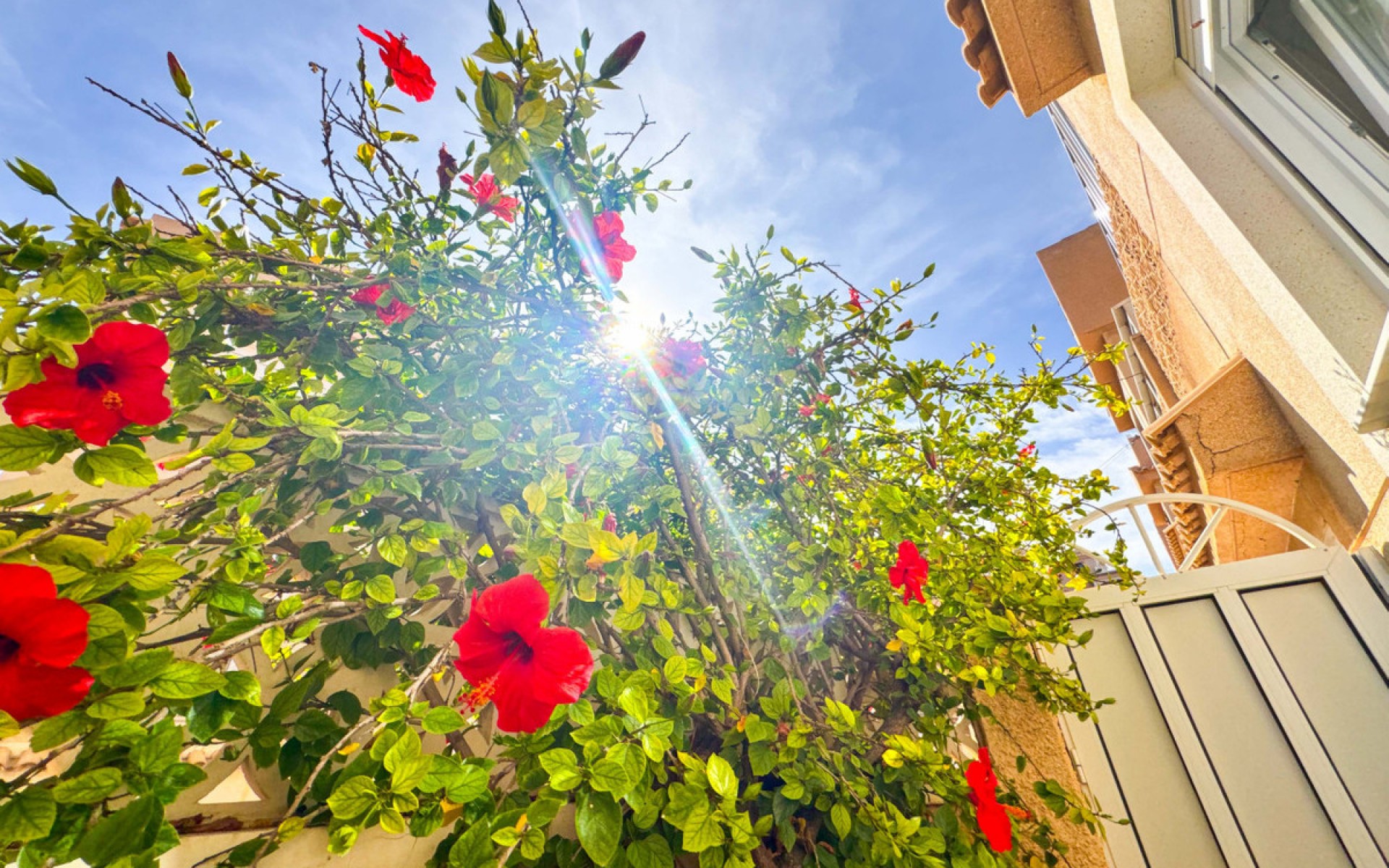 Resale - Townhouse - Torrevieja - Playa De La Mata