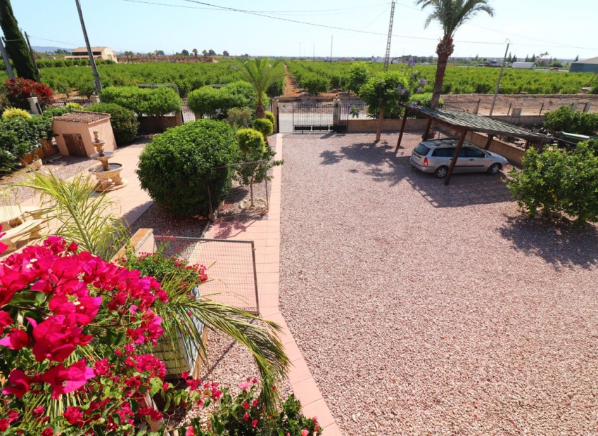 Resale - Villa - Albatera - Albatera Centro