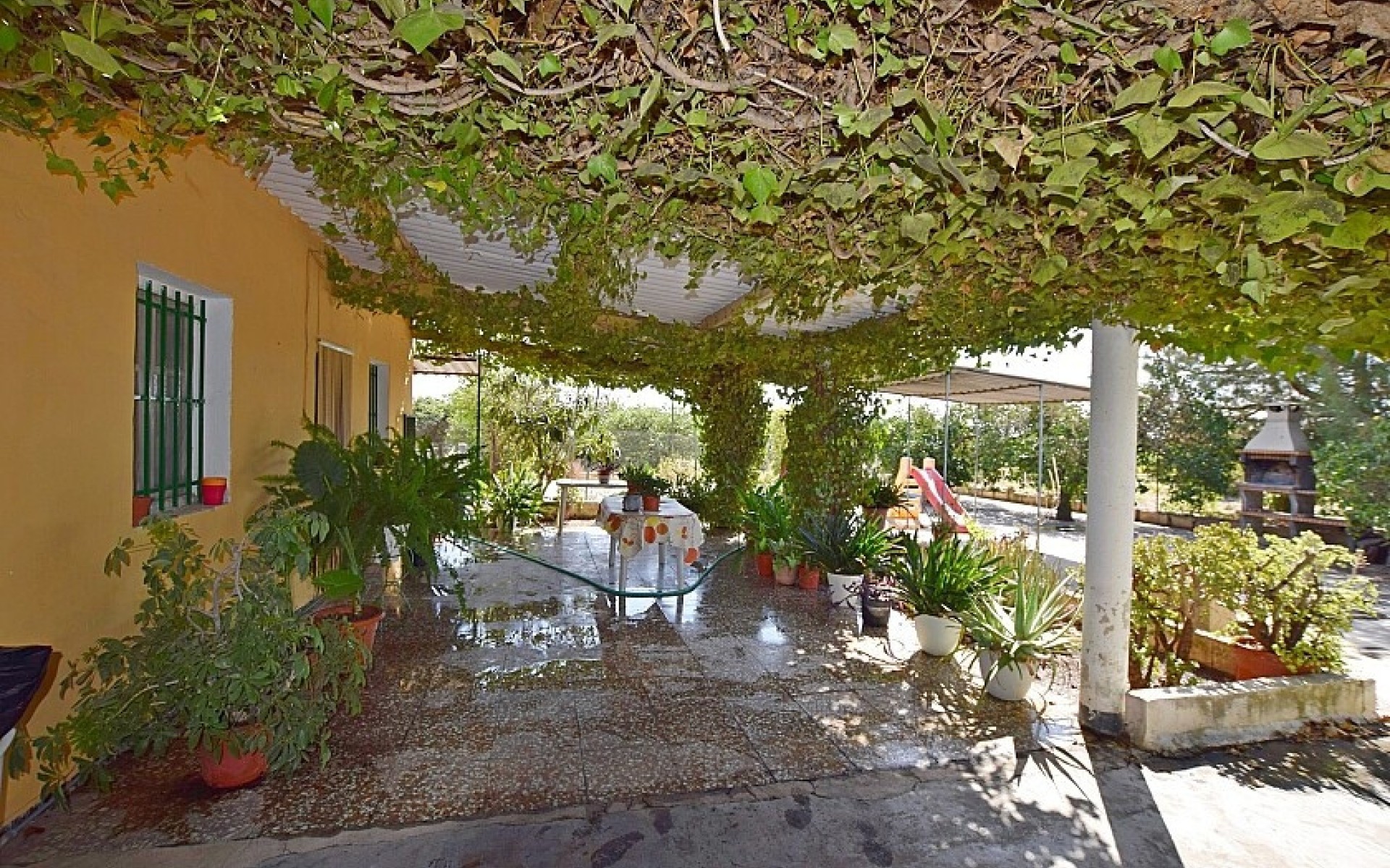 Resale - Villa - Albatera - Albatera Centro