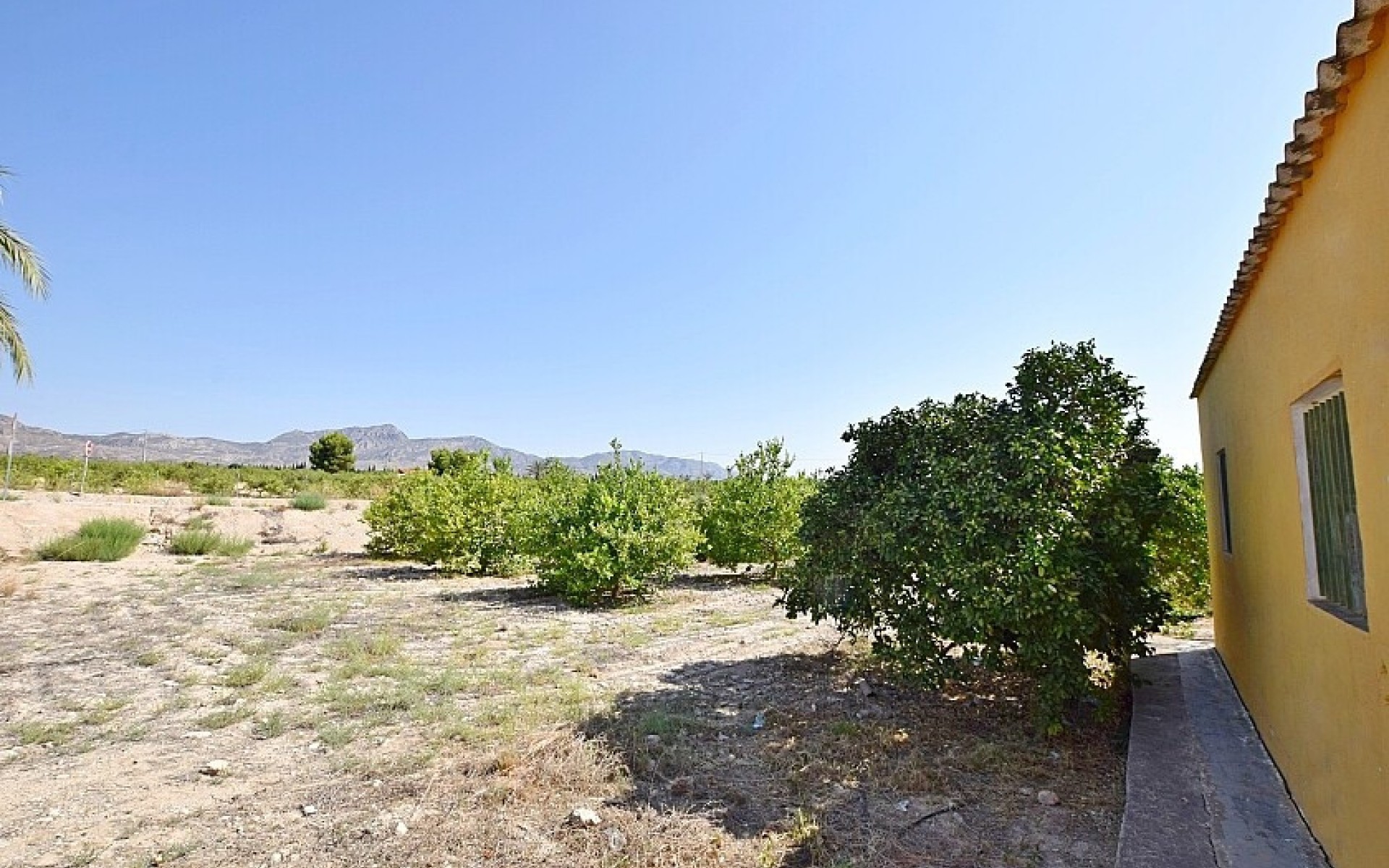 Resale - Villa - Albatera - Albatera Centro