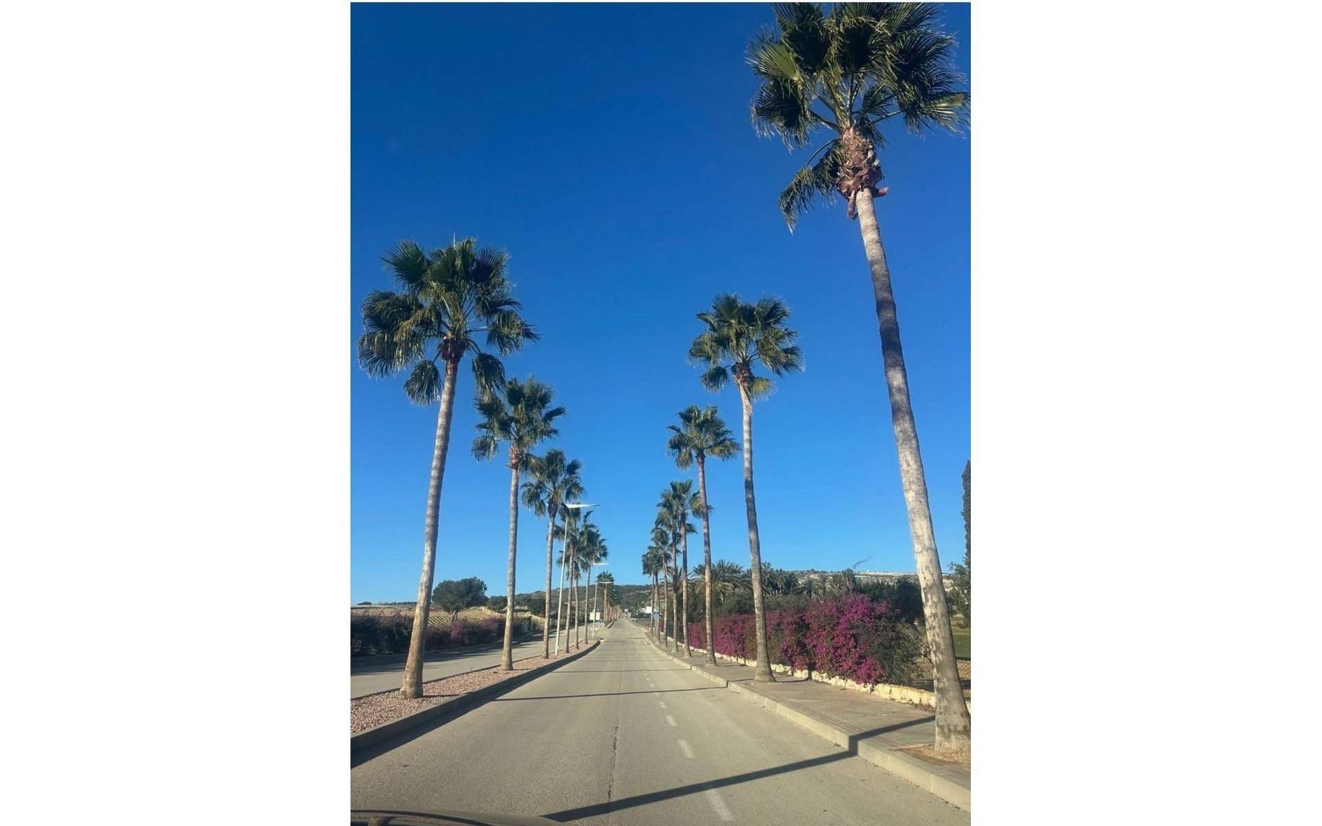 Resale - Villa - Algorfa - Algorfa Centro