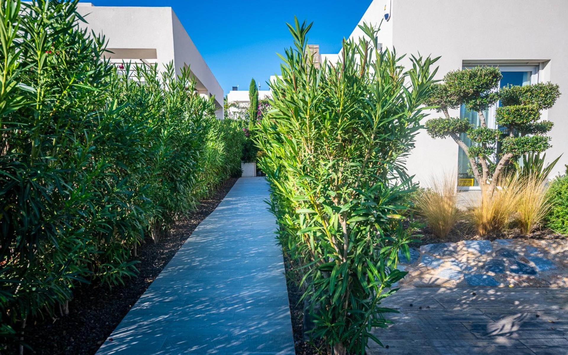 Resale - Villa - Algorfa - Algorfa Centro