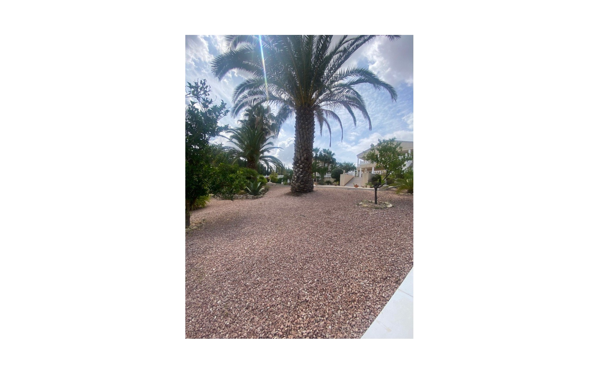 Resale - Villa - Algorfa - Algorfa Centro