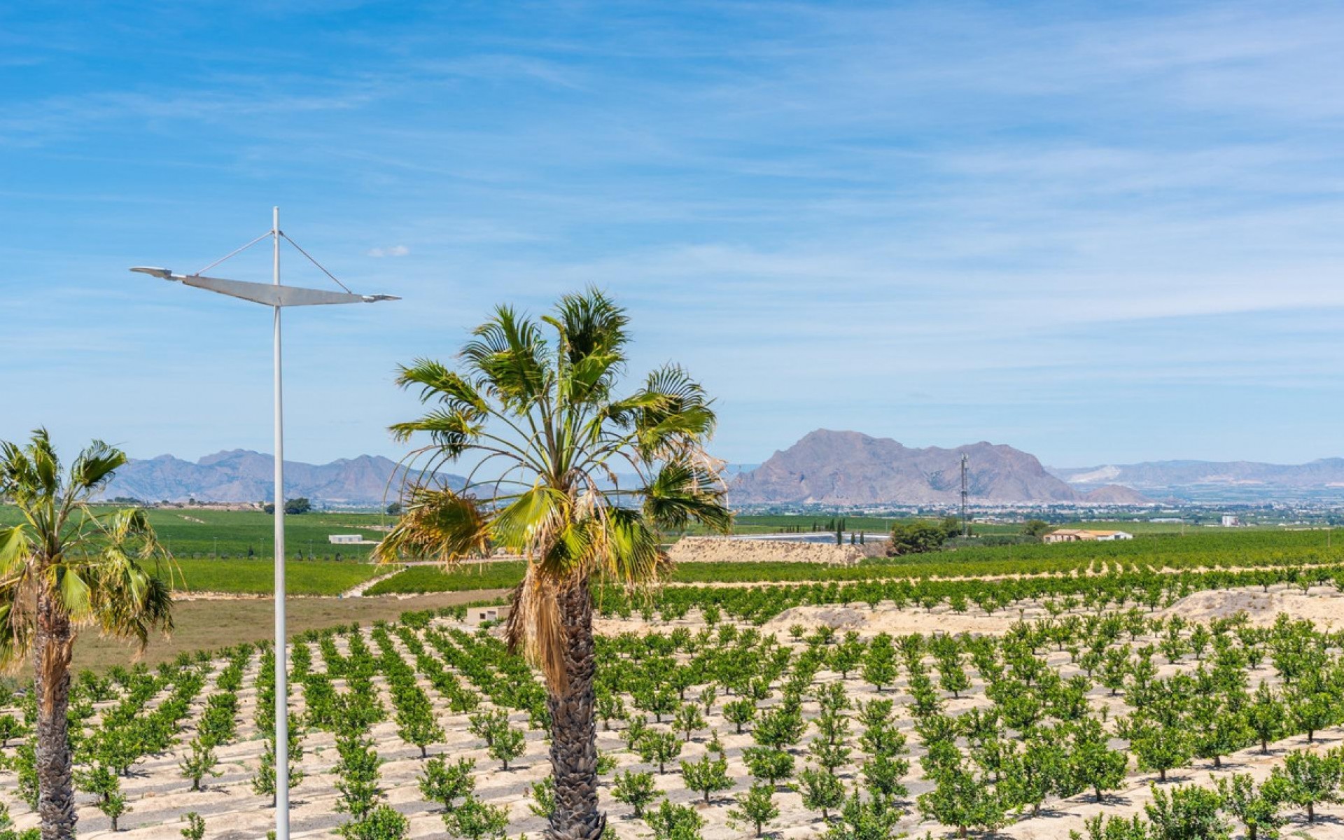 Resale - Villa - Algorfa - Algorfa Centro