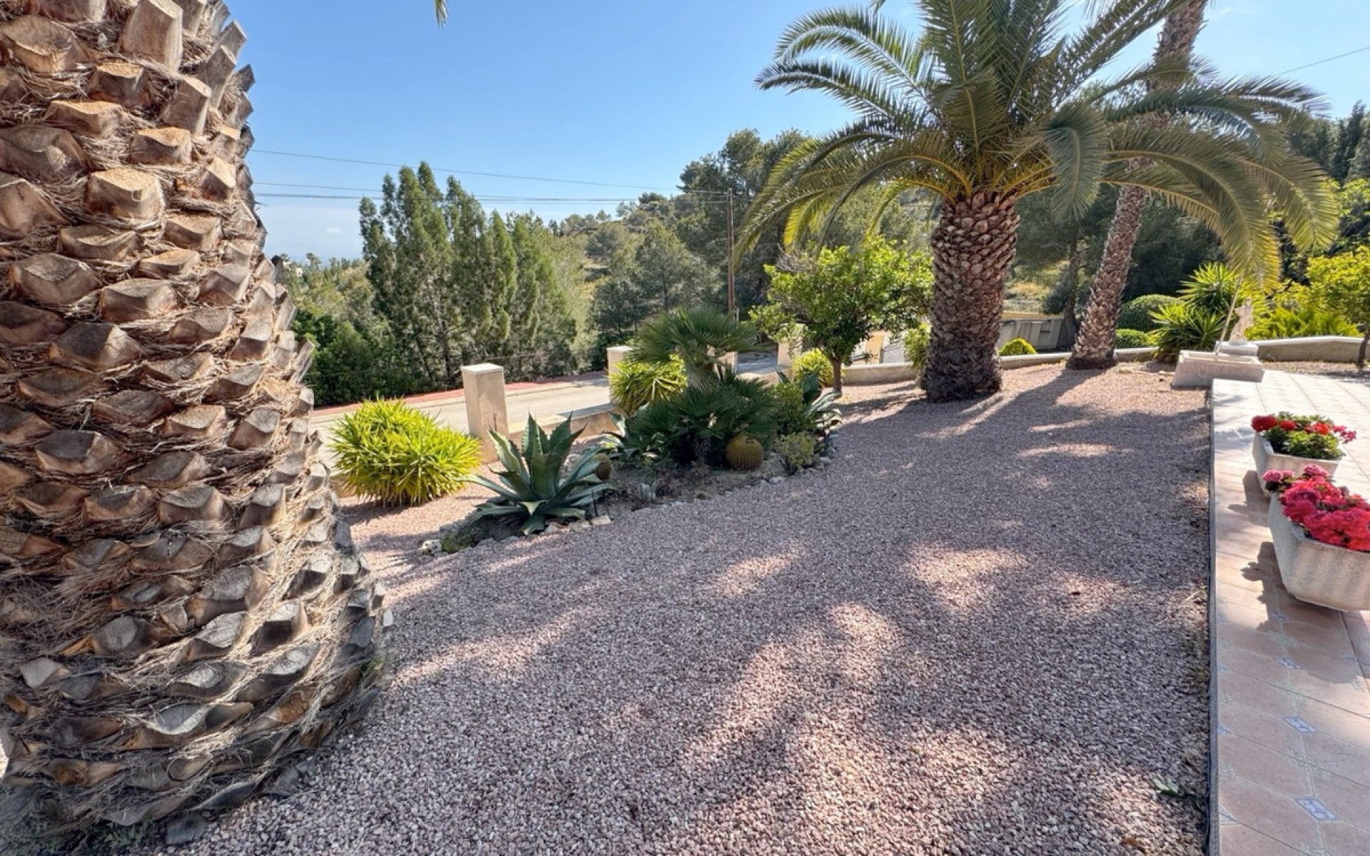 Resale - Villa - Algorfa - Algorfa Centro
