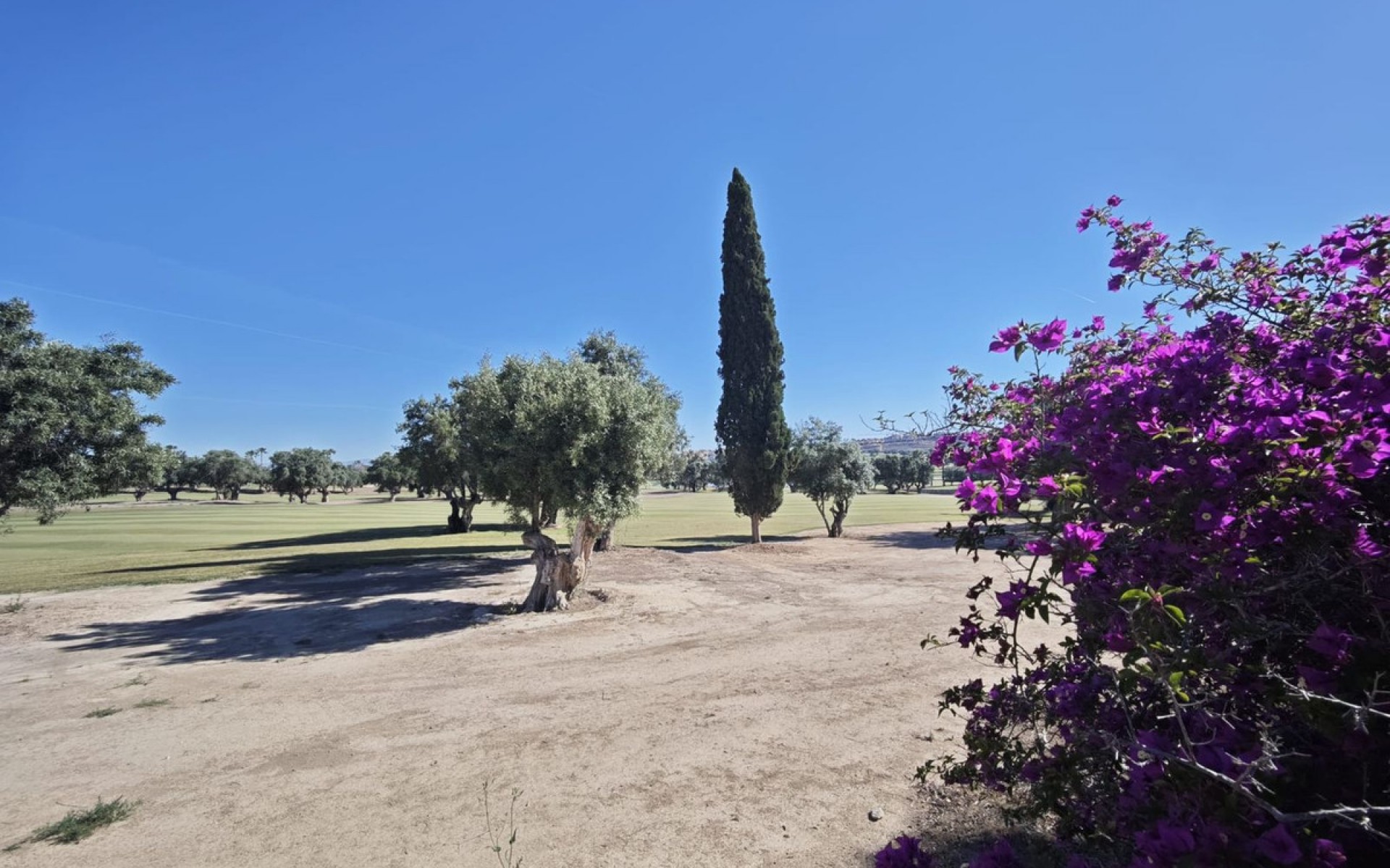 Resale - Villa - Algorfa - Algorfa Centro