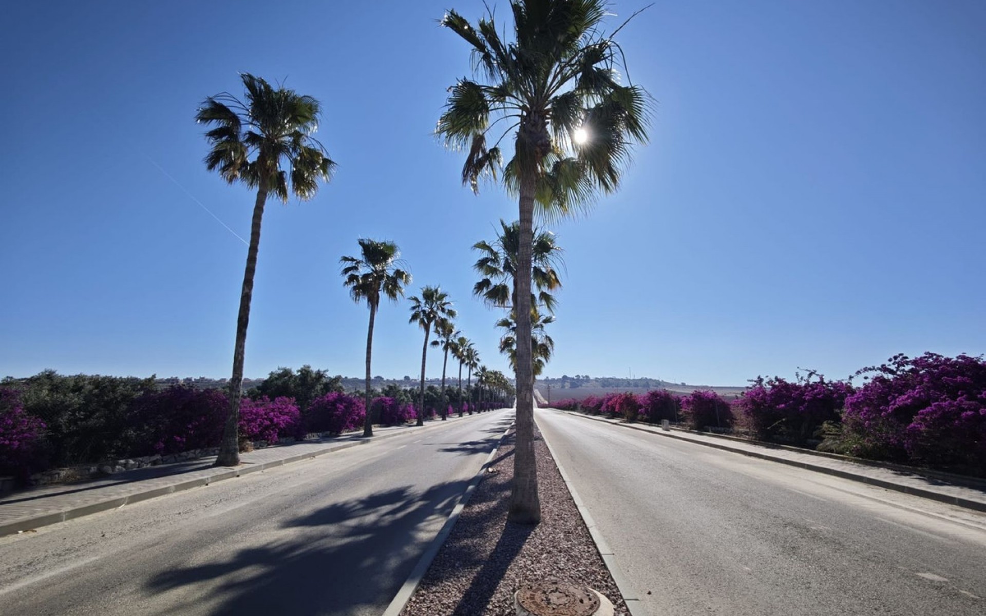 Resale - Villa - Algorfa - Algorfa Centro