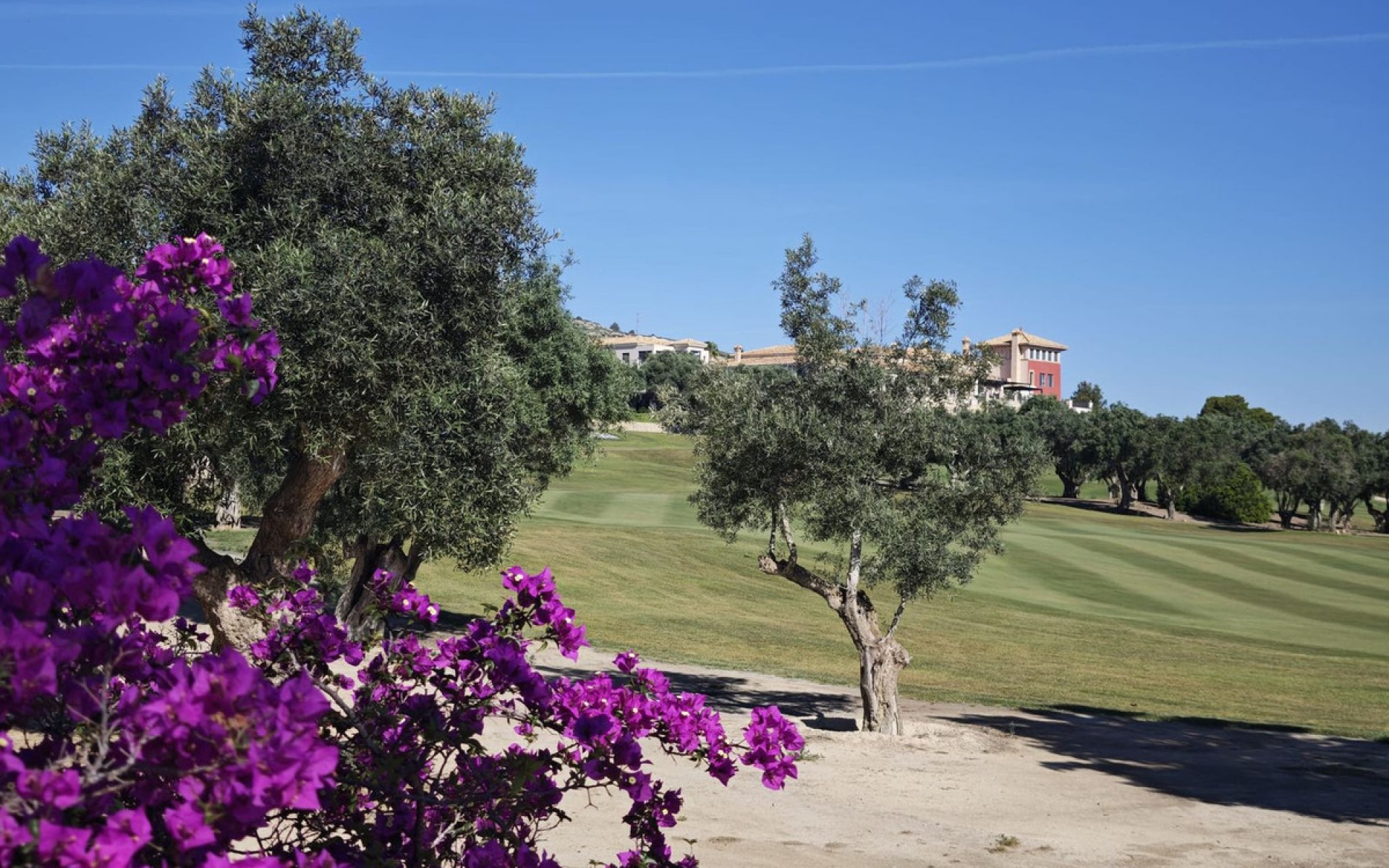 Resale - Villa - Algorfa - Algorfa Centro