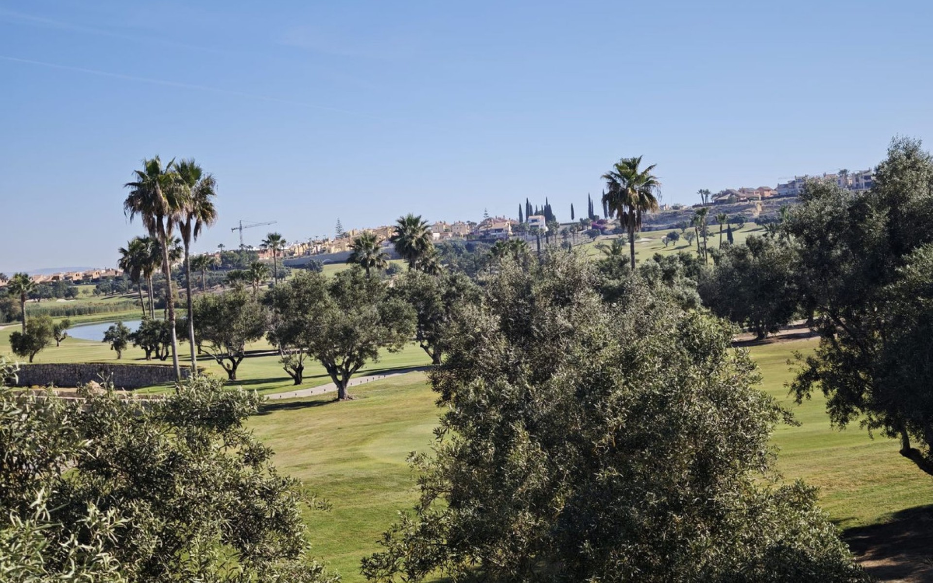 Resale - Villa - Algorfa - Algorfa Centro