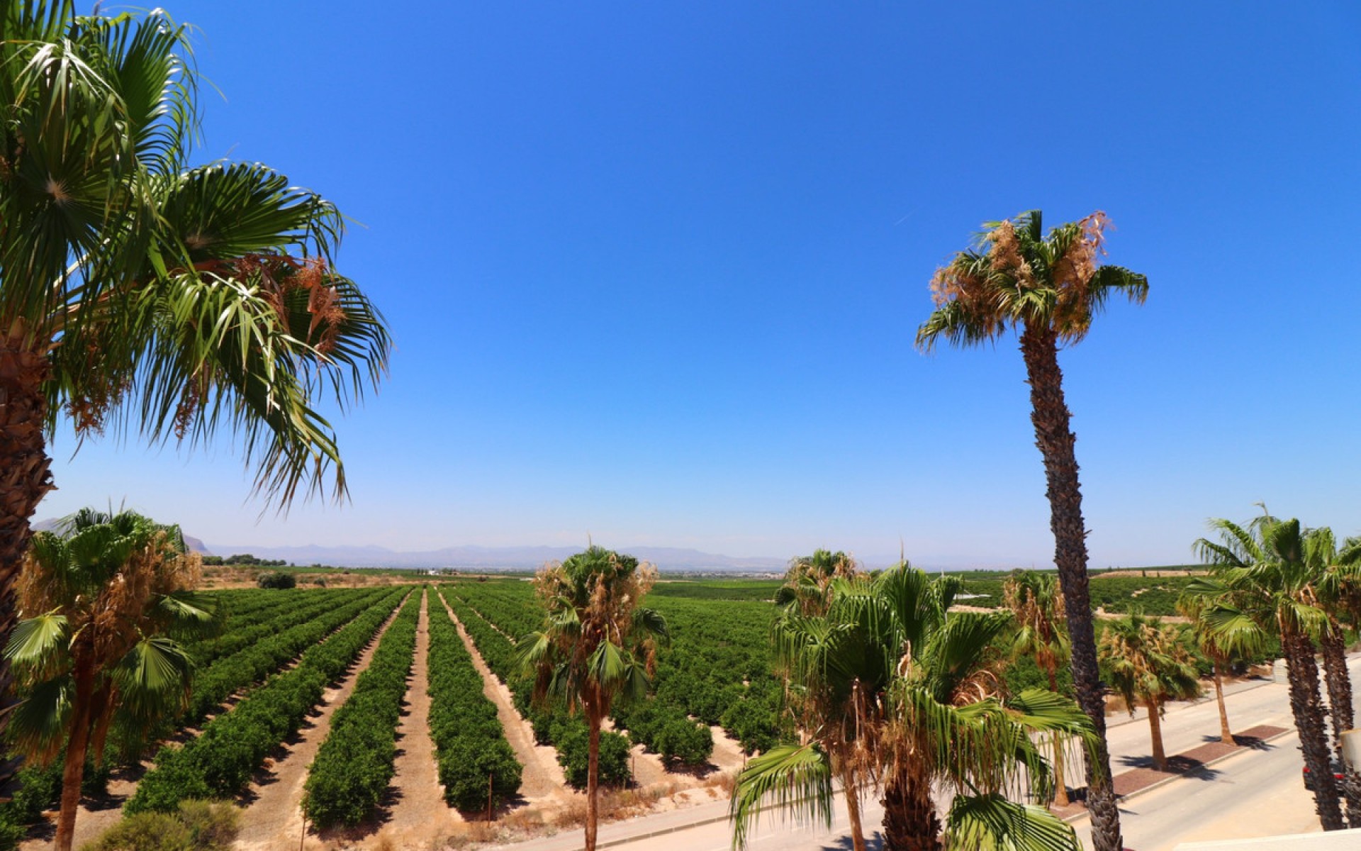 Resale - Villa - Algorfa - Algorfa Centro