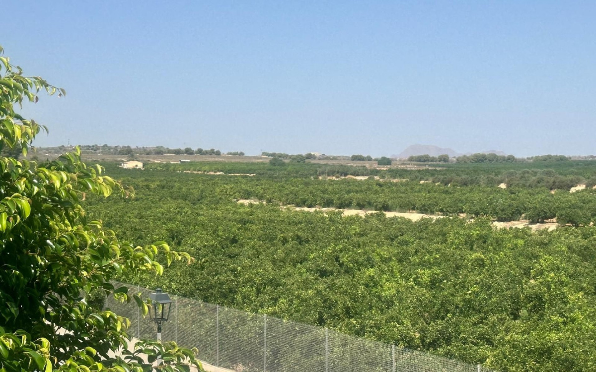 Resale - Villa - Algorfa - Algorfa Centro