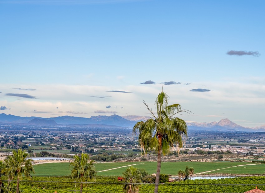 Resale - Villa - Algorfa - Lomas de La Juliana