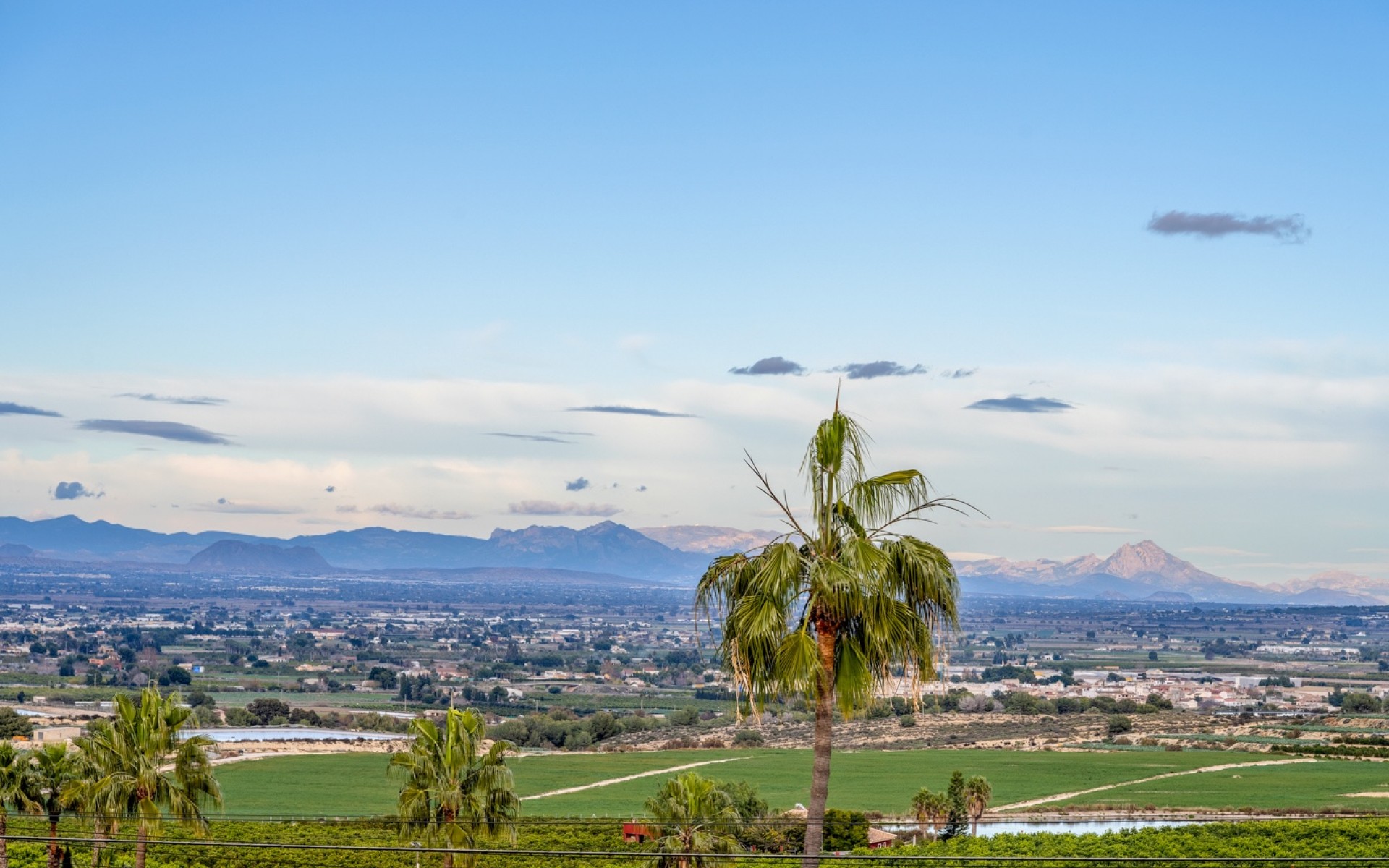 Resale - Villa - Algorfa - Lomas de La Juliana