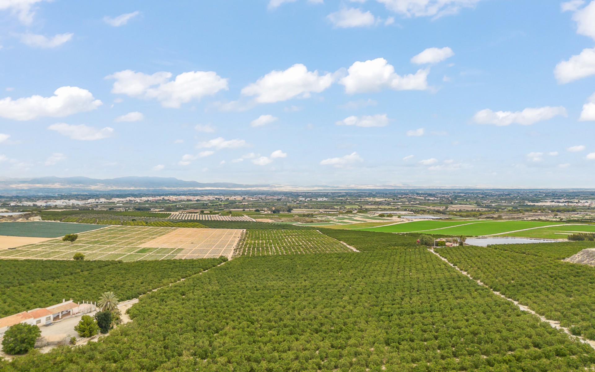 Resale - Villa - Algorfa