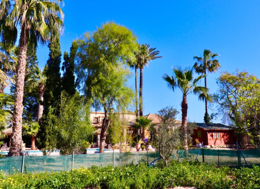 Resale - Villa - Almoradi - Heredades