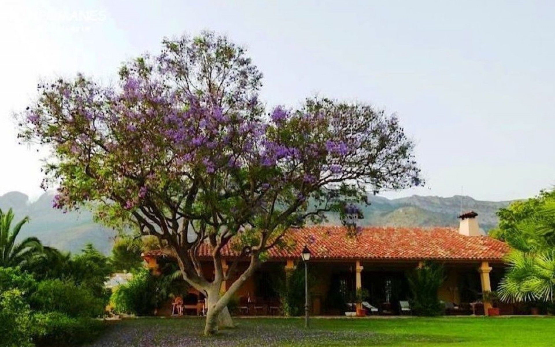 Resale - Villa - Altea - Altea Centro