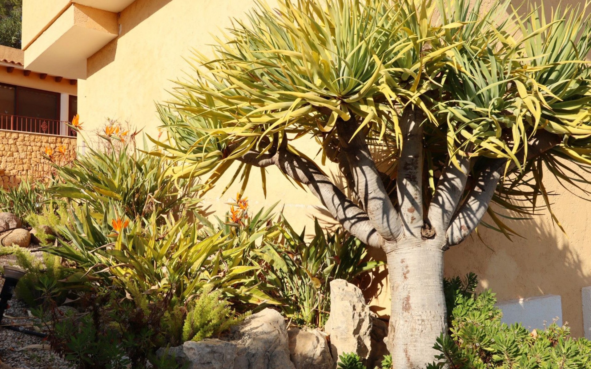 Resale - Villa - Altea - Altea Centro