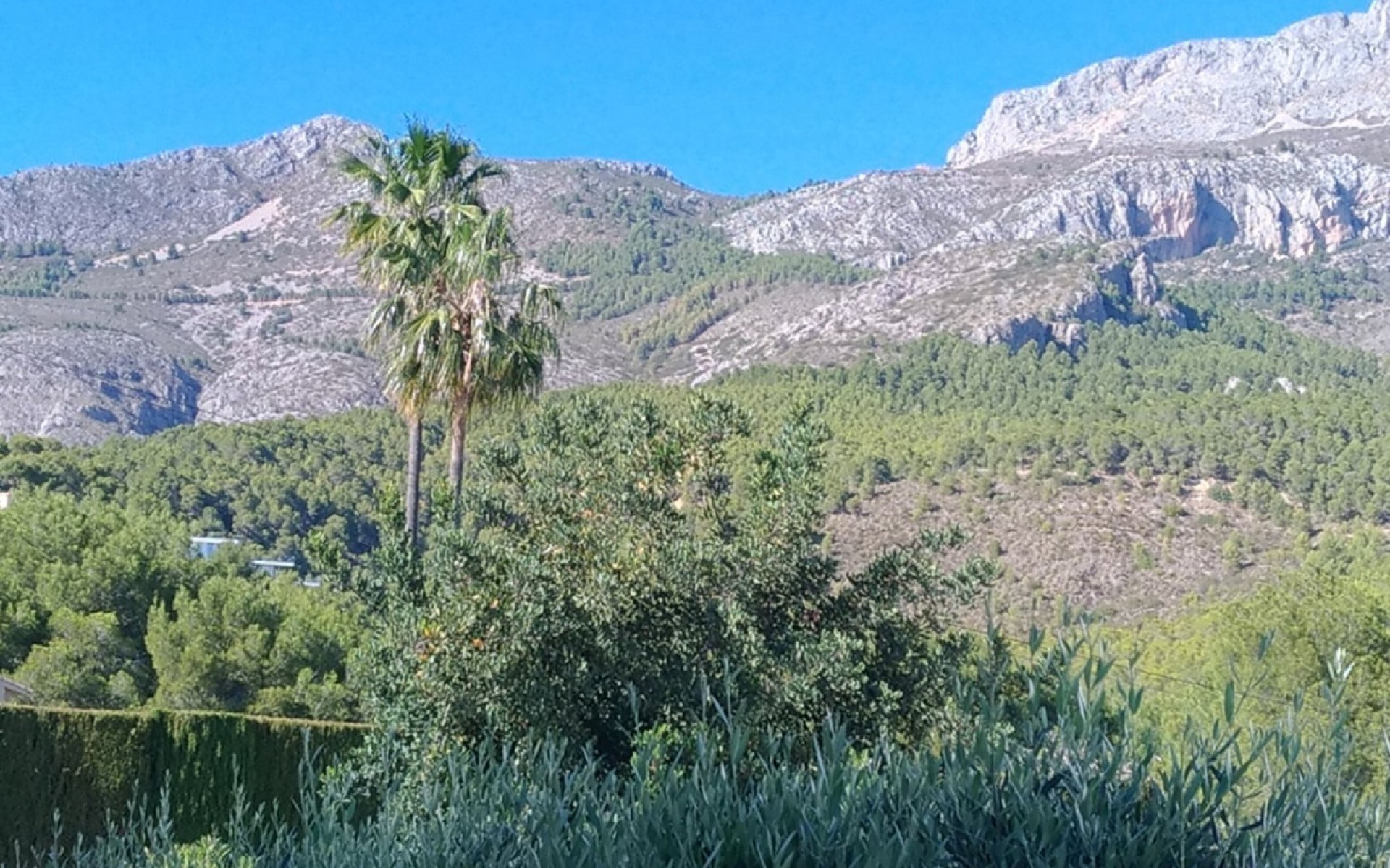 Resale - Villa - Altea - Altea la Vieja - Altea la Vella