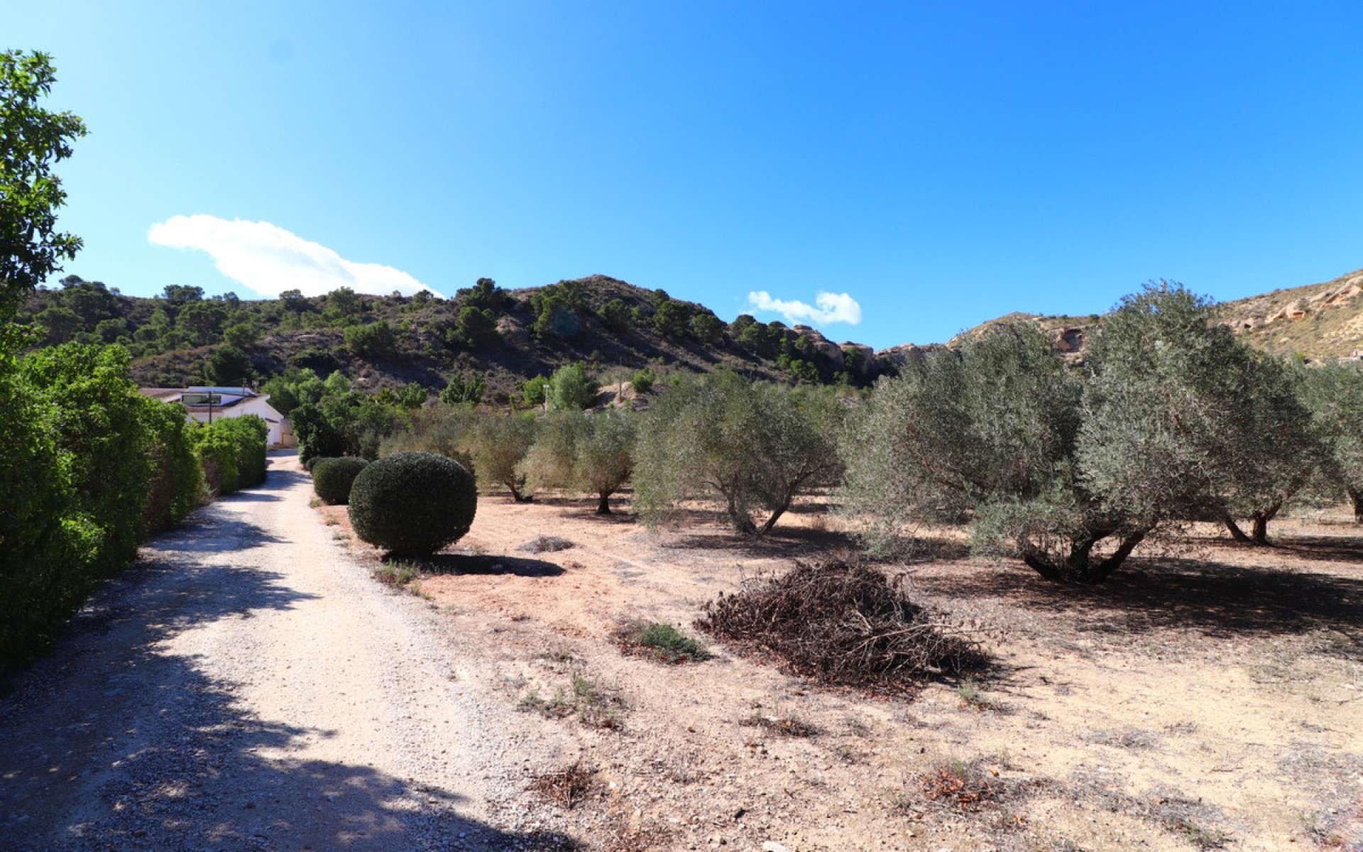Resale - Villa - Aspe - Aspe Centro
