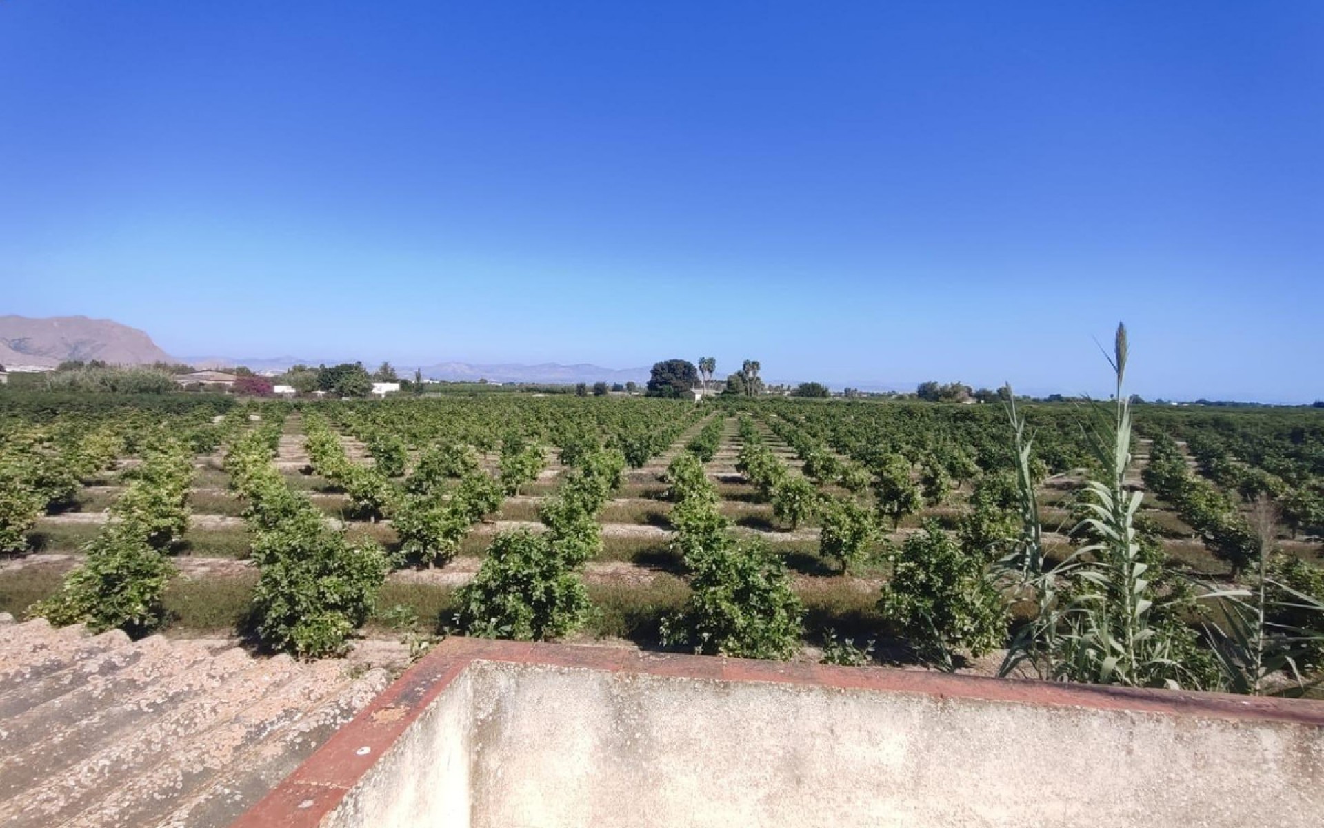 Resale - Villa - Benejuzar - Benejuzar Centro