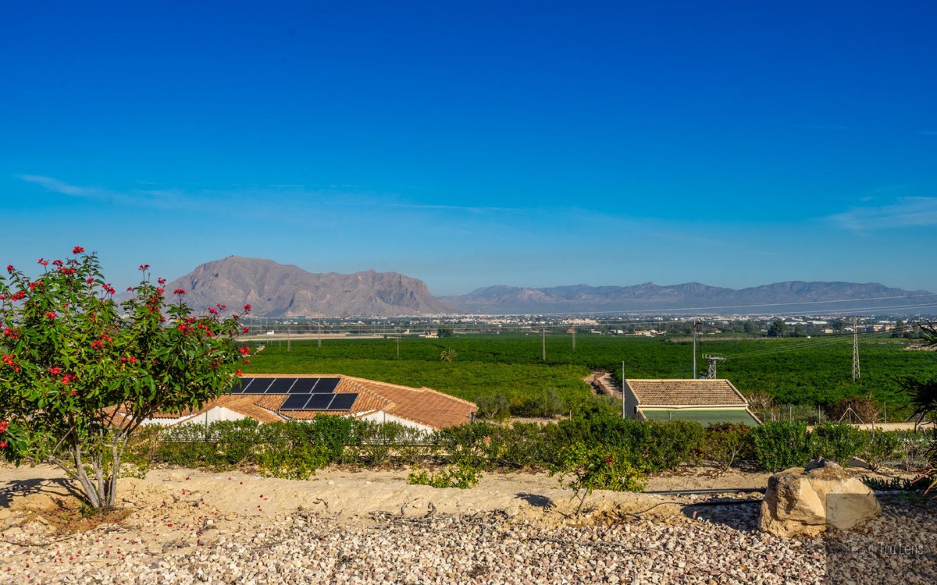 Resale - Villa - Benejuzar - Benejuzar Centro