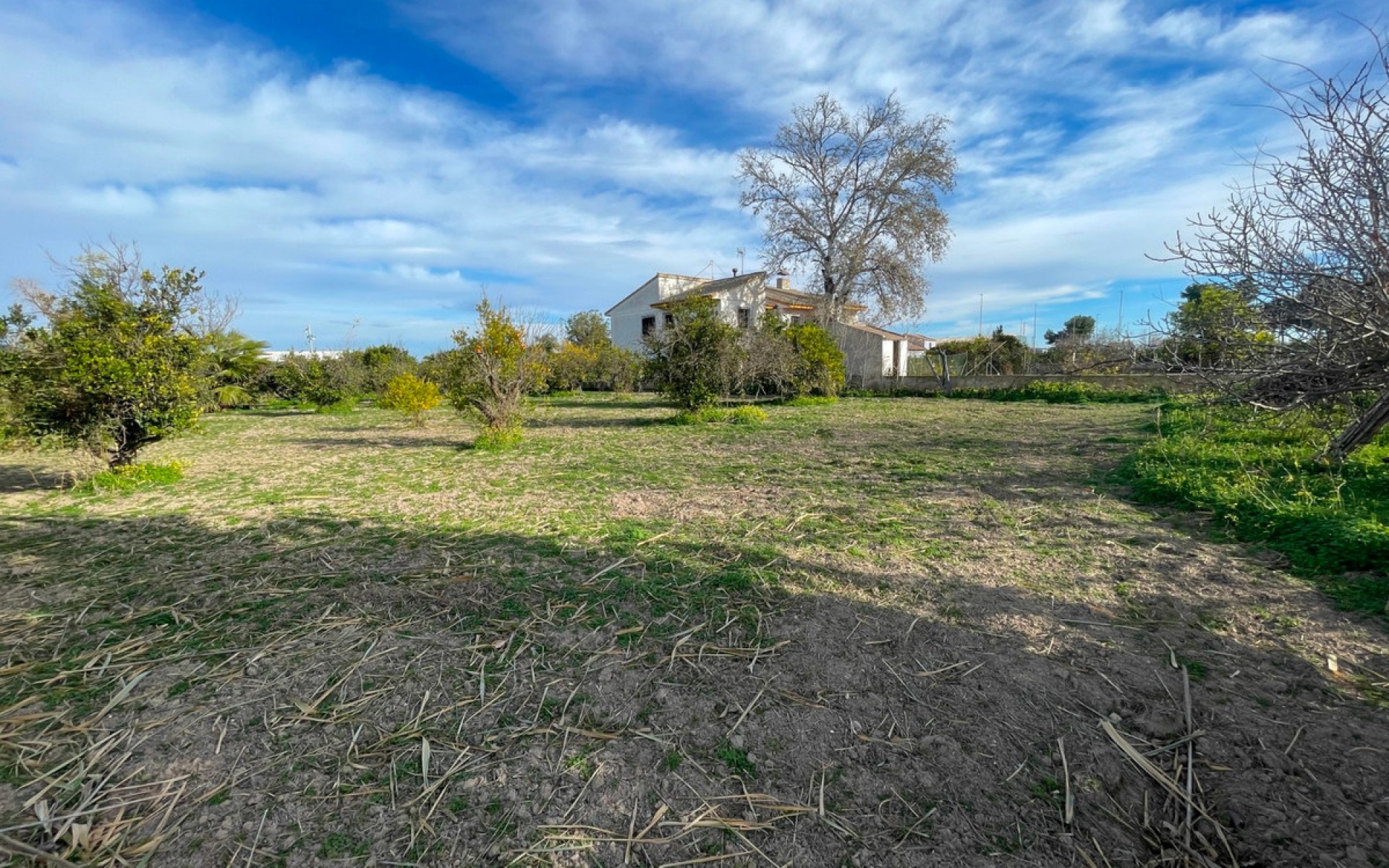 Resale - Villa - Benejuzar - Benejuzar Centro