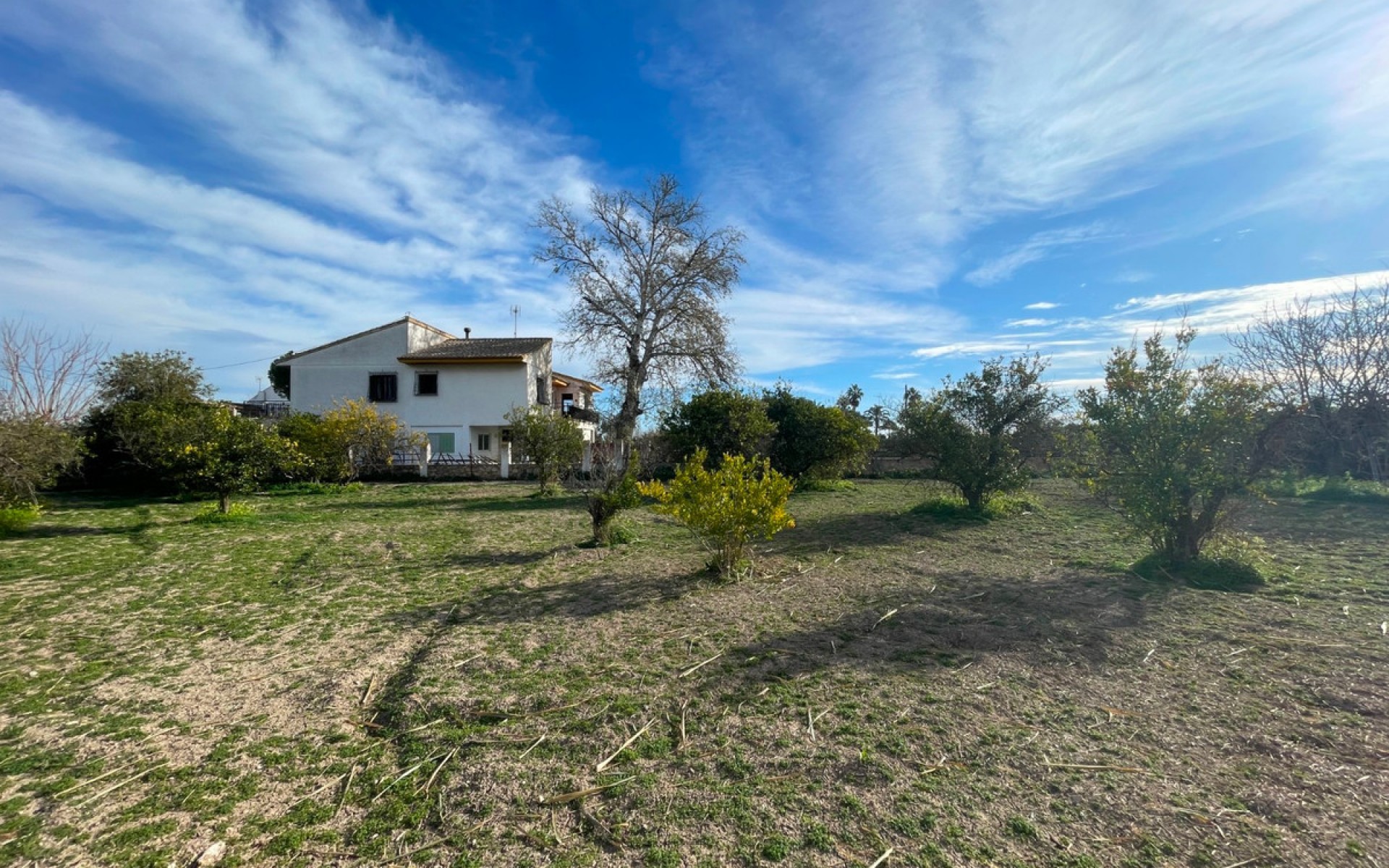 Resale - Villa - Benejuzar - Benejuzar Centro