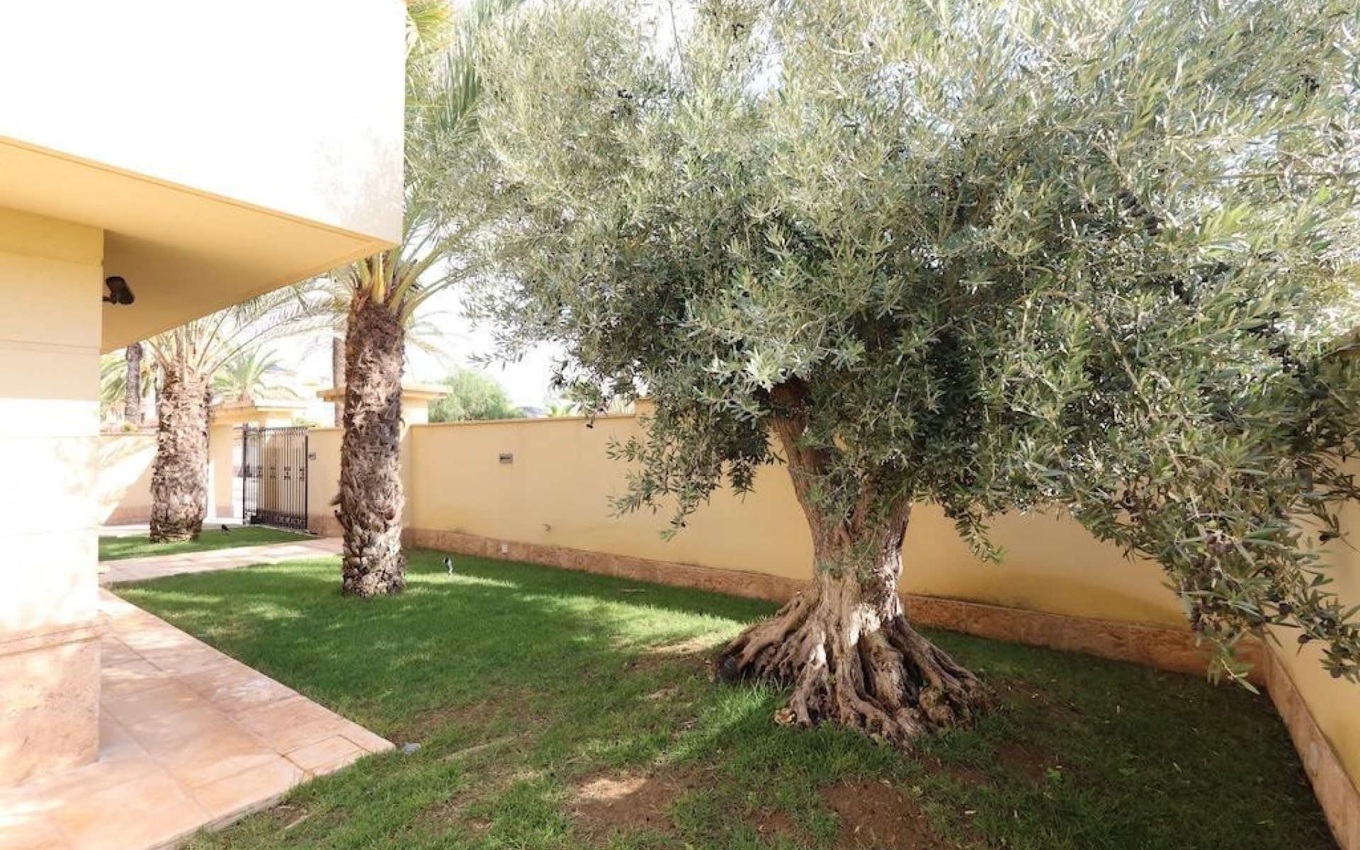 Resale - Villa - Cabo Roig