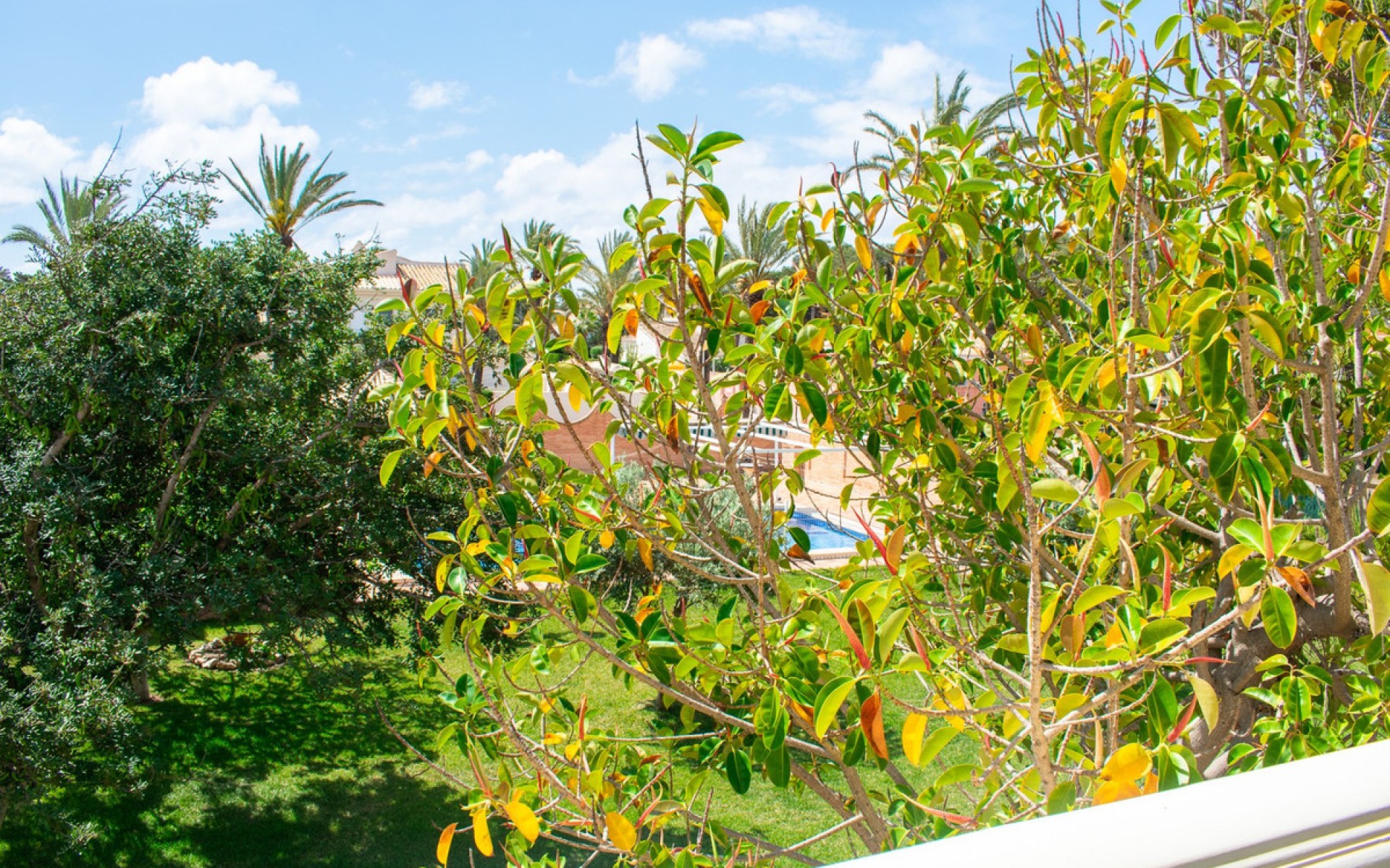 Resale - Villa - Cabo Roig