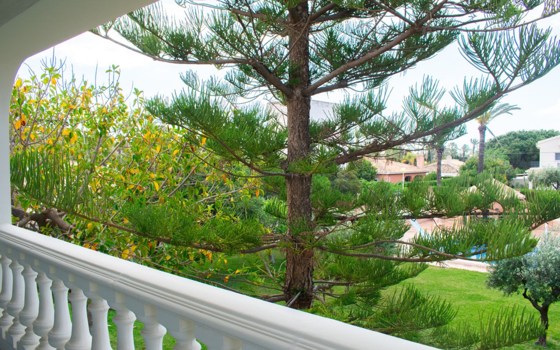 Resale - Villa - Cabo Roig