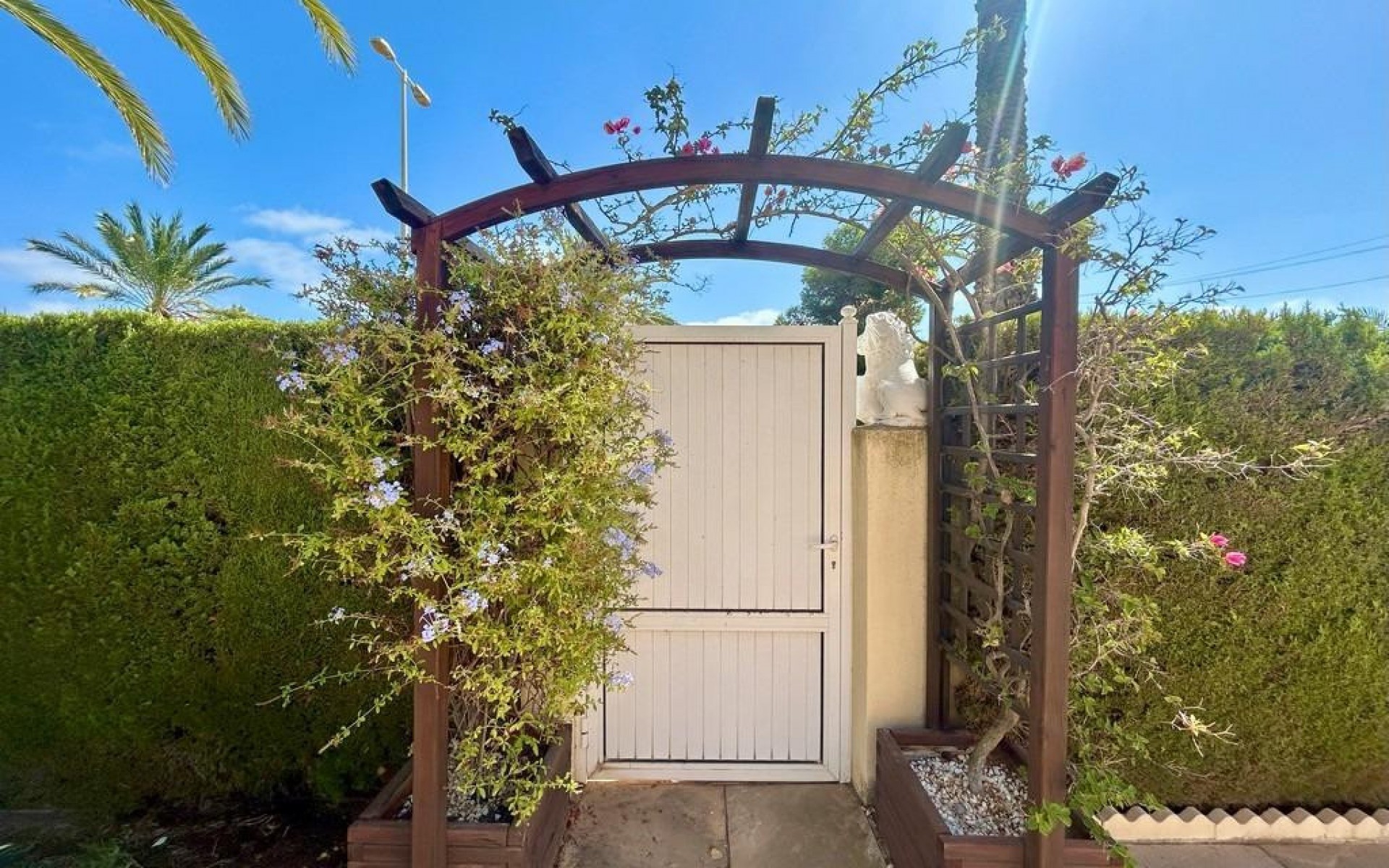 Resale - Villa - Cabo Roig