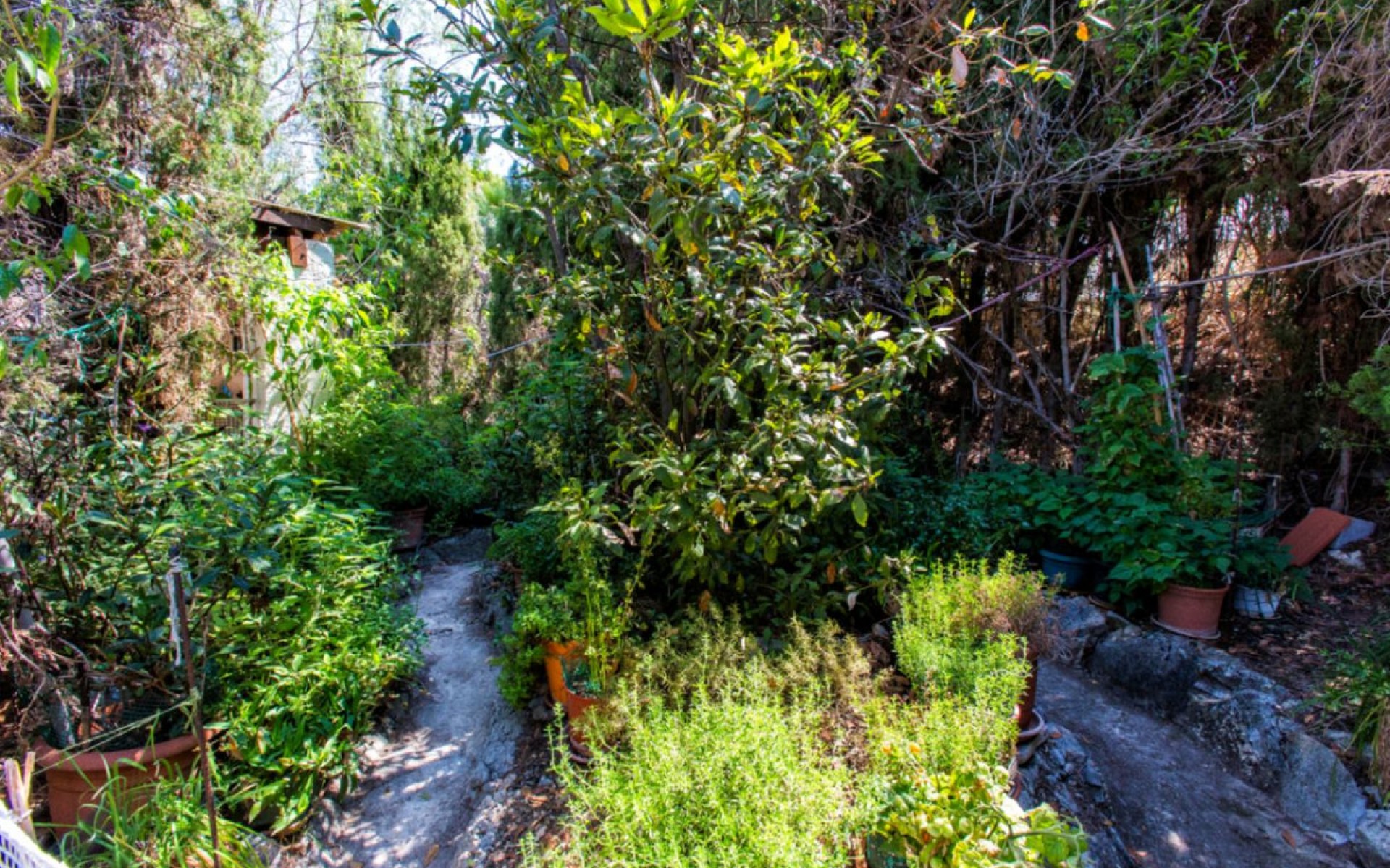 Resale - Villa - Calpe - Calpe Centro