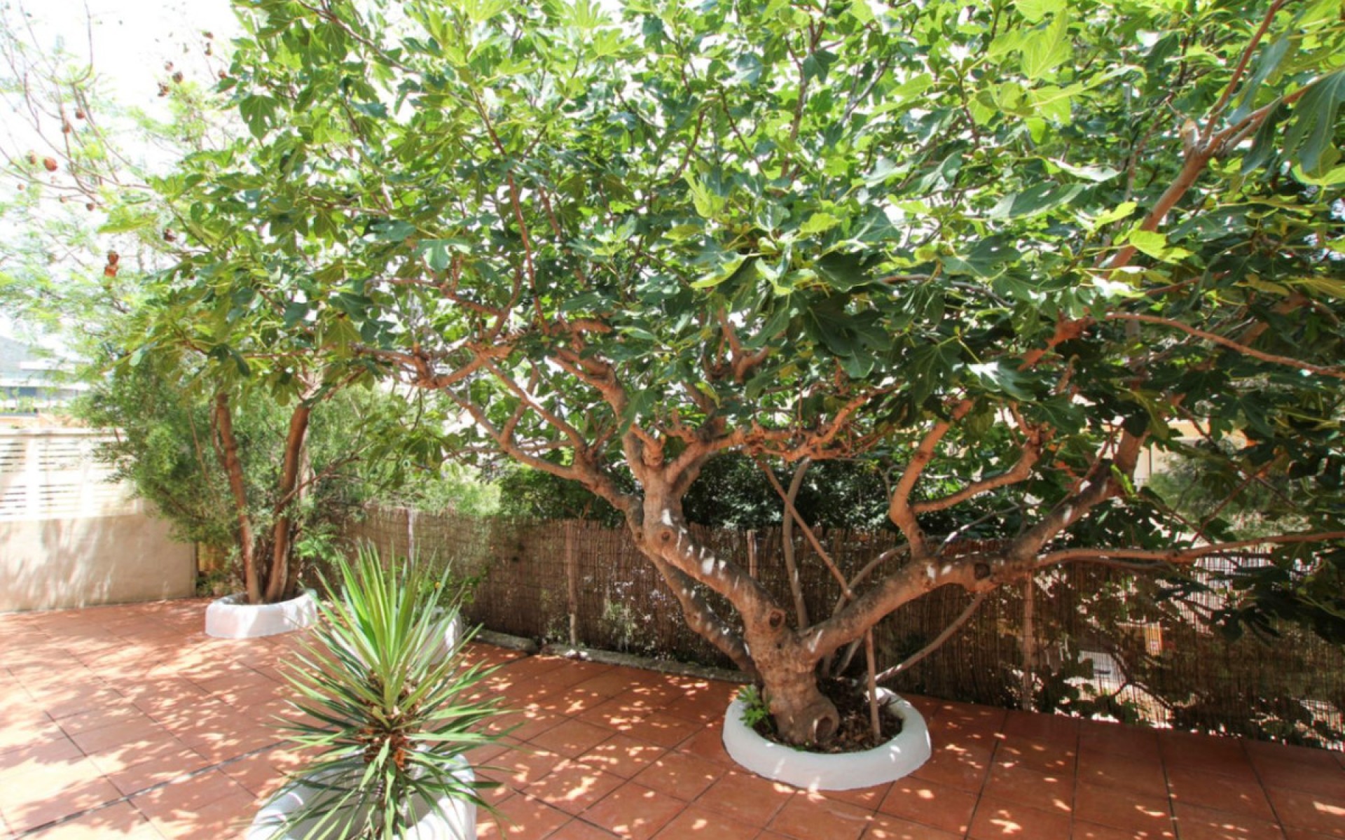 Resale - Villa - Calpe - Calpe Centro