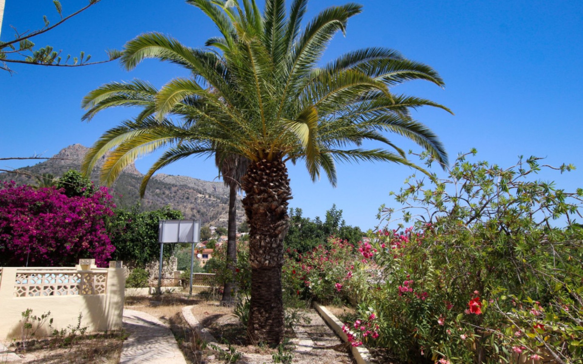 Resale - Villa - Calpe - Calpe Centro