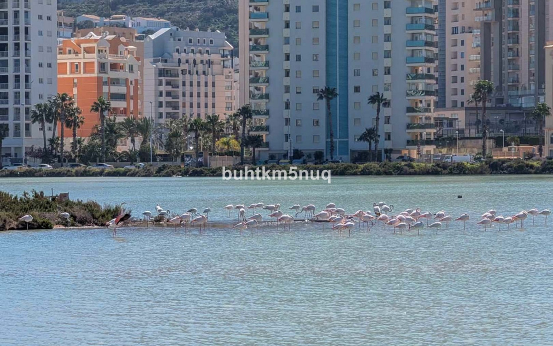 Resale - Villa - Calpe - Calpe Centro