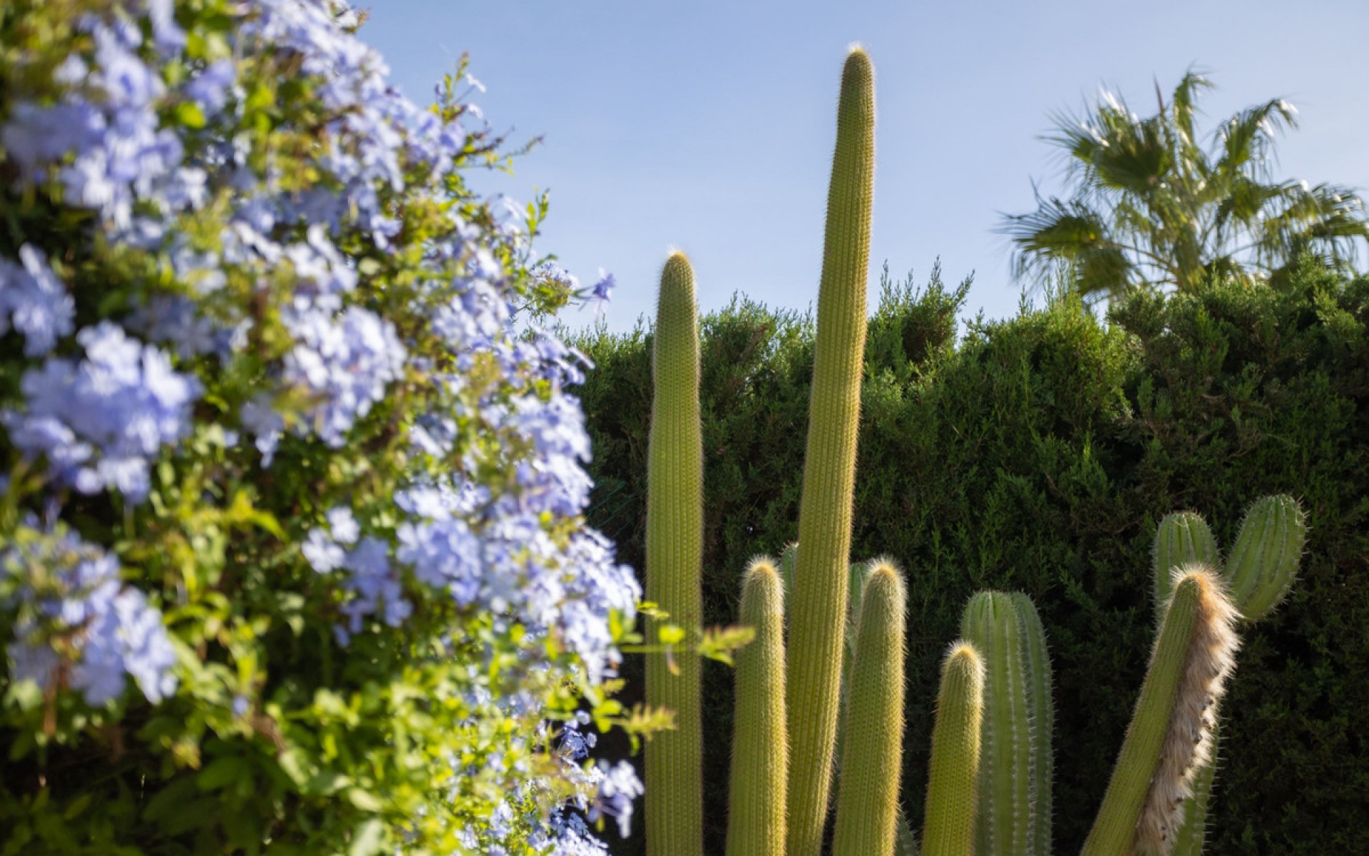 Resale - Villa - Cartagena - Playa Honda