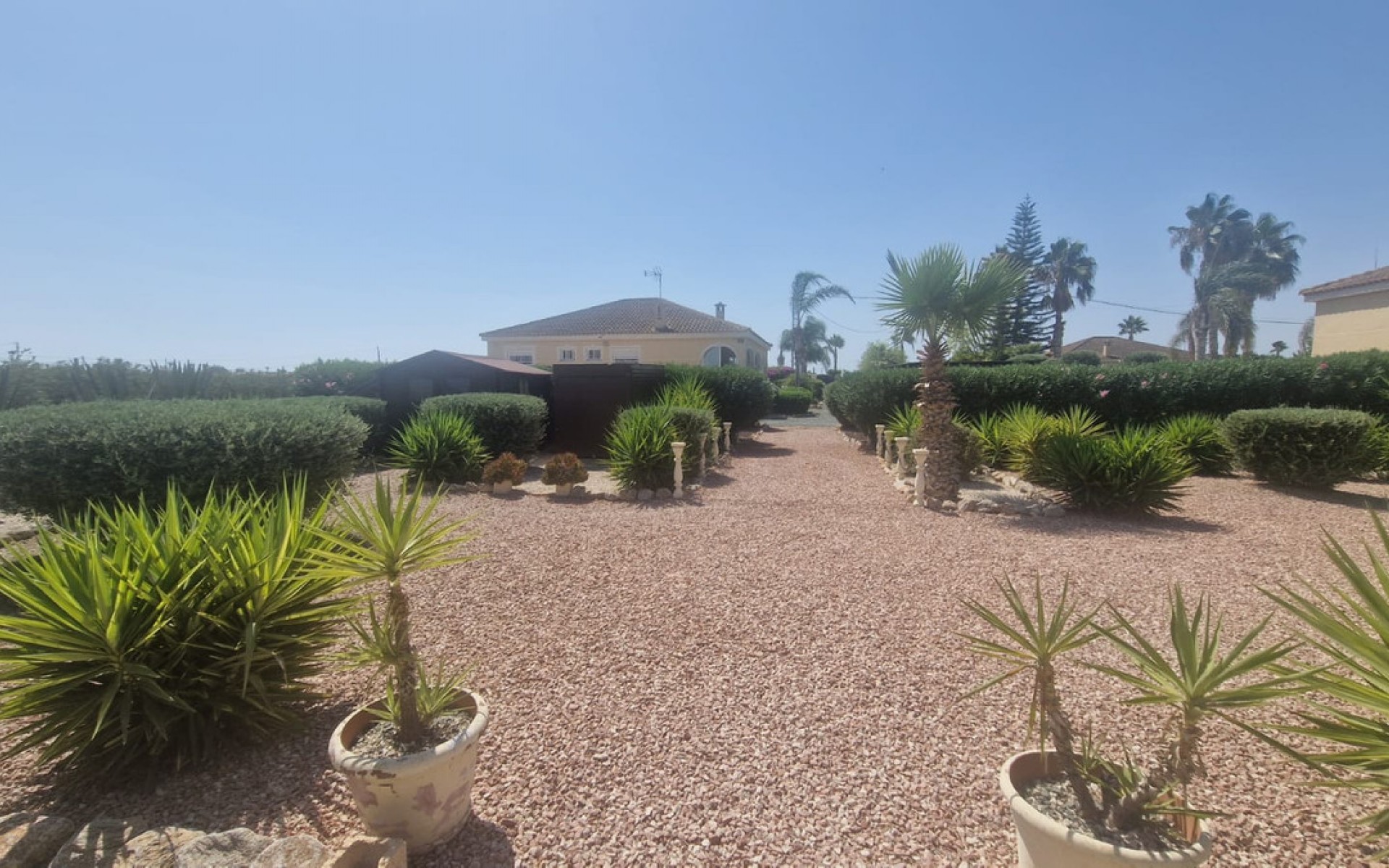 Resale - Villa - Catral - Catral Centro