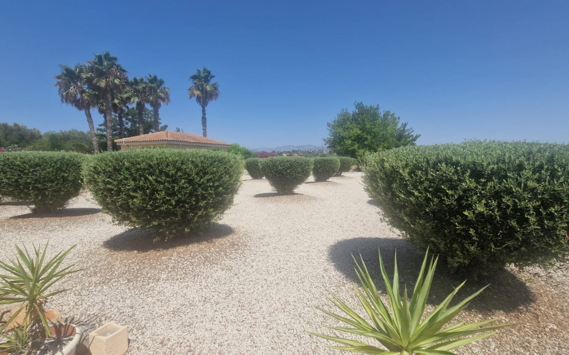 Resale - Villa - Catral - Catral Centro