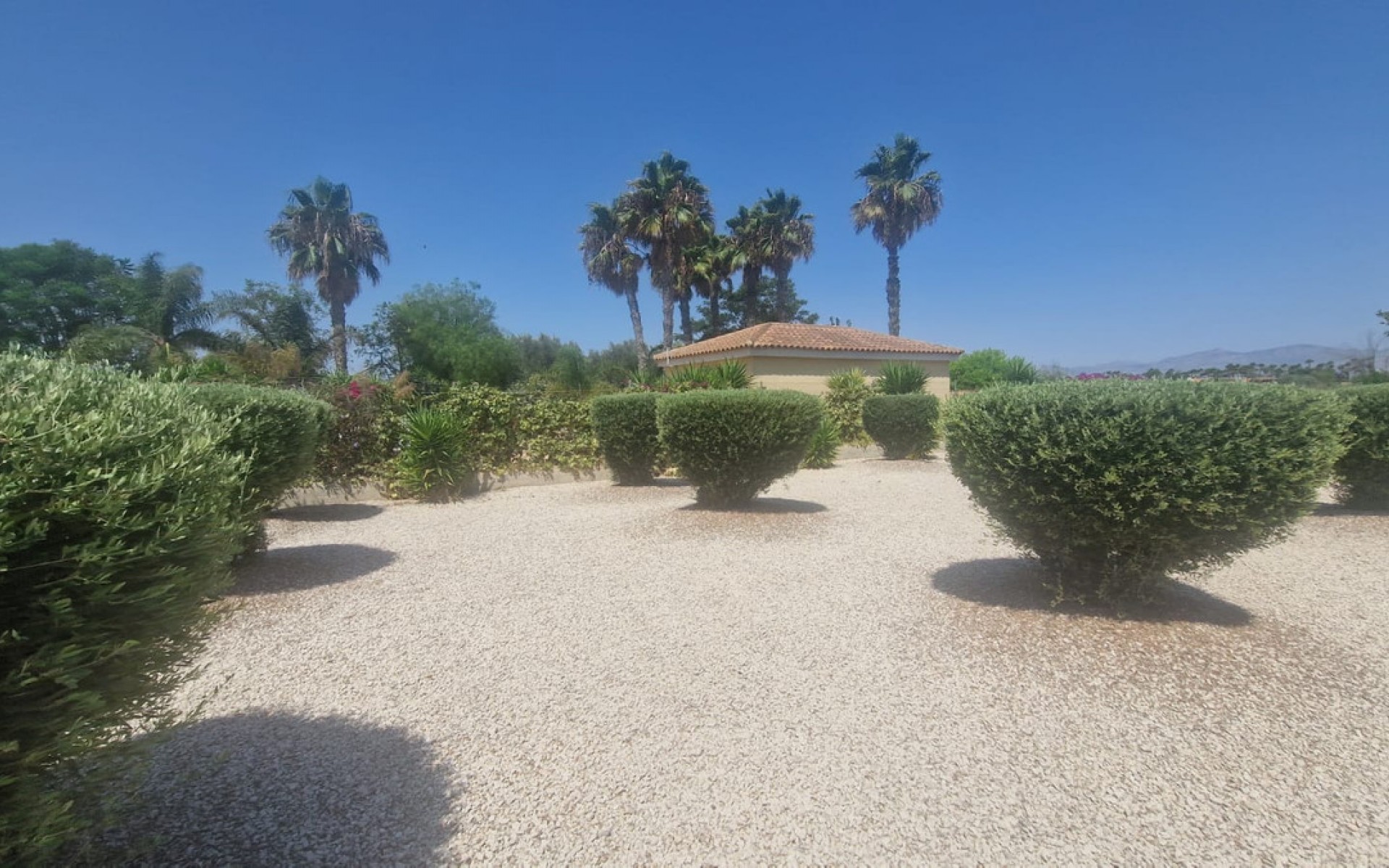 Resale - Villa - Catral - Catral Centro