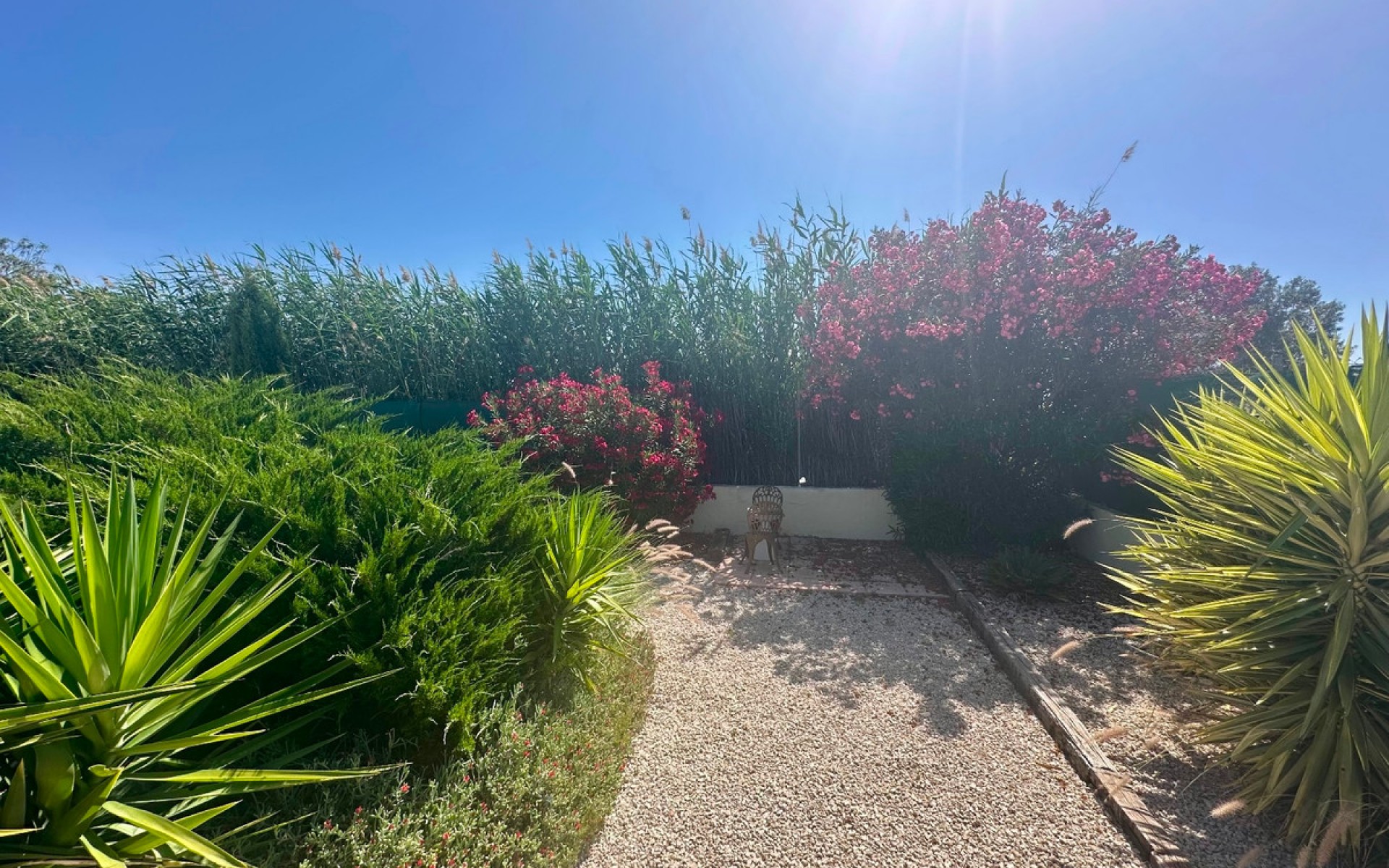 Resale - Villa - Catral - Catral Centro