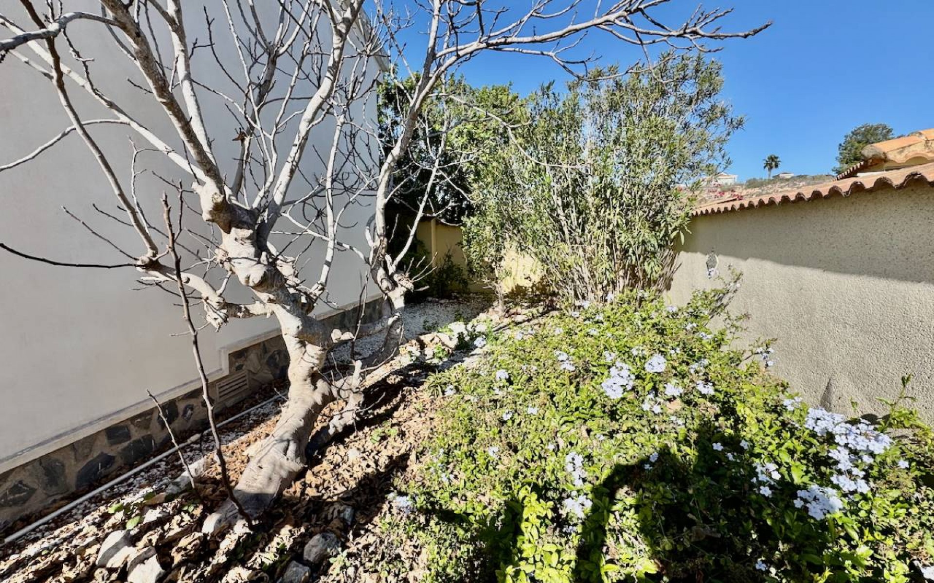 Resale - Villa - Ciudad Quesada - Lo Pepin