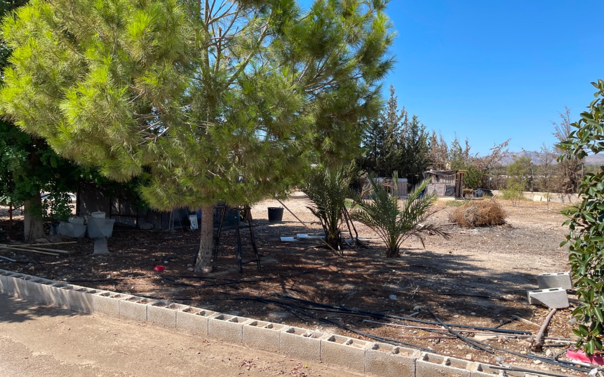 Resale - Villa - Crevillente - Crevillent - Crevillente - Crevillent Centro