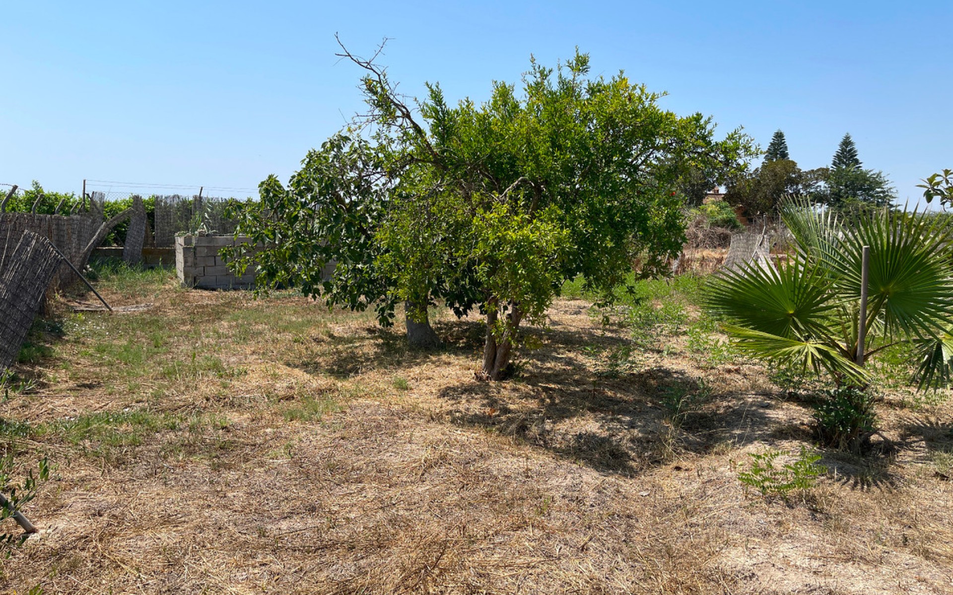 Resale - Villa - Daya Nueva - Daya Nueva Centro