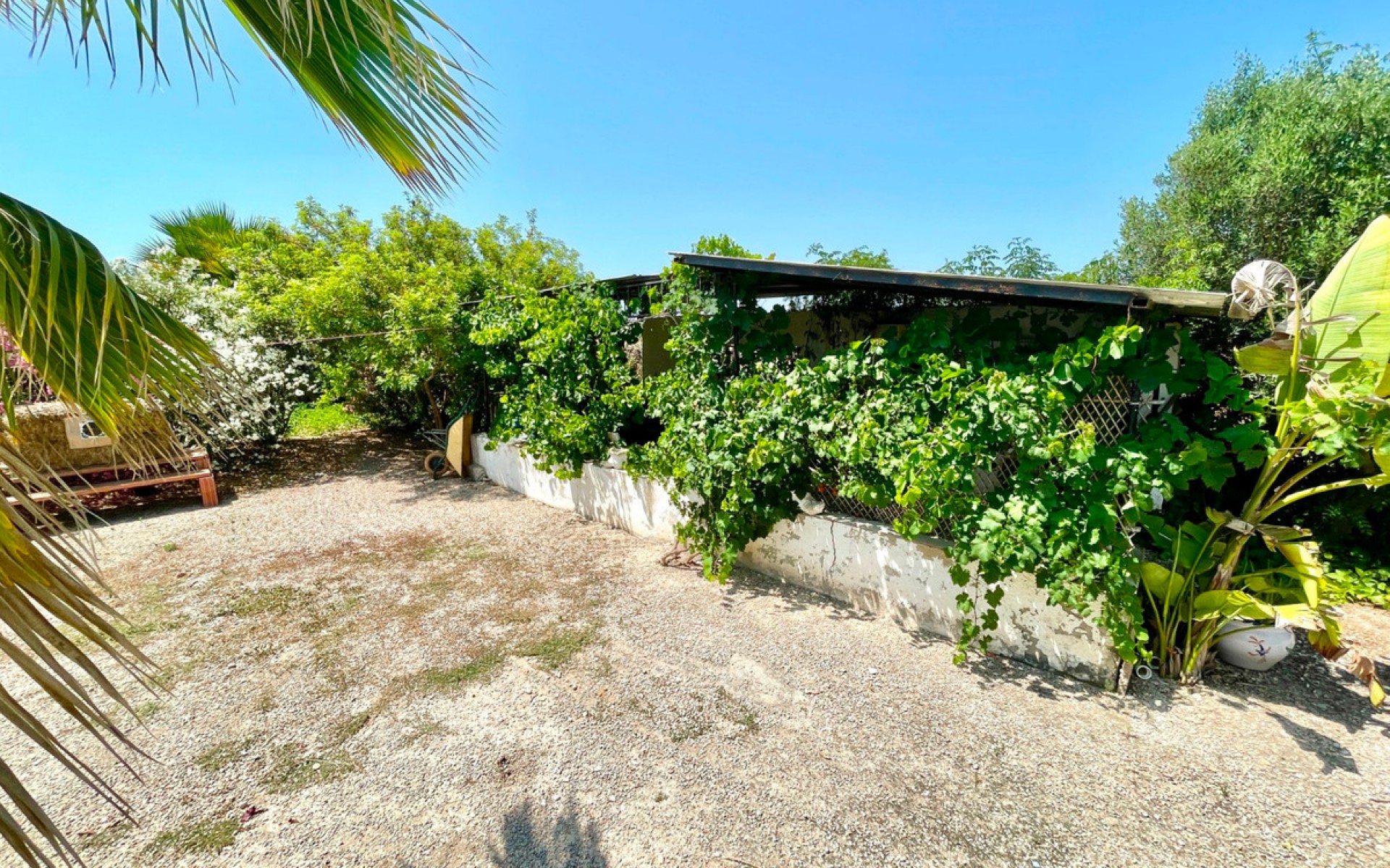 Resale - Villa - Daya Nueva - Daya Nueva Centro