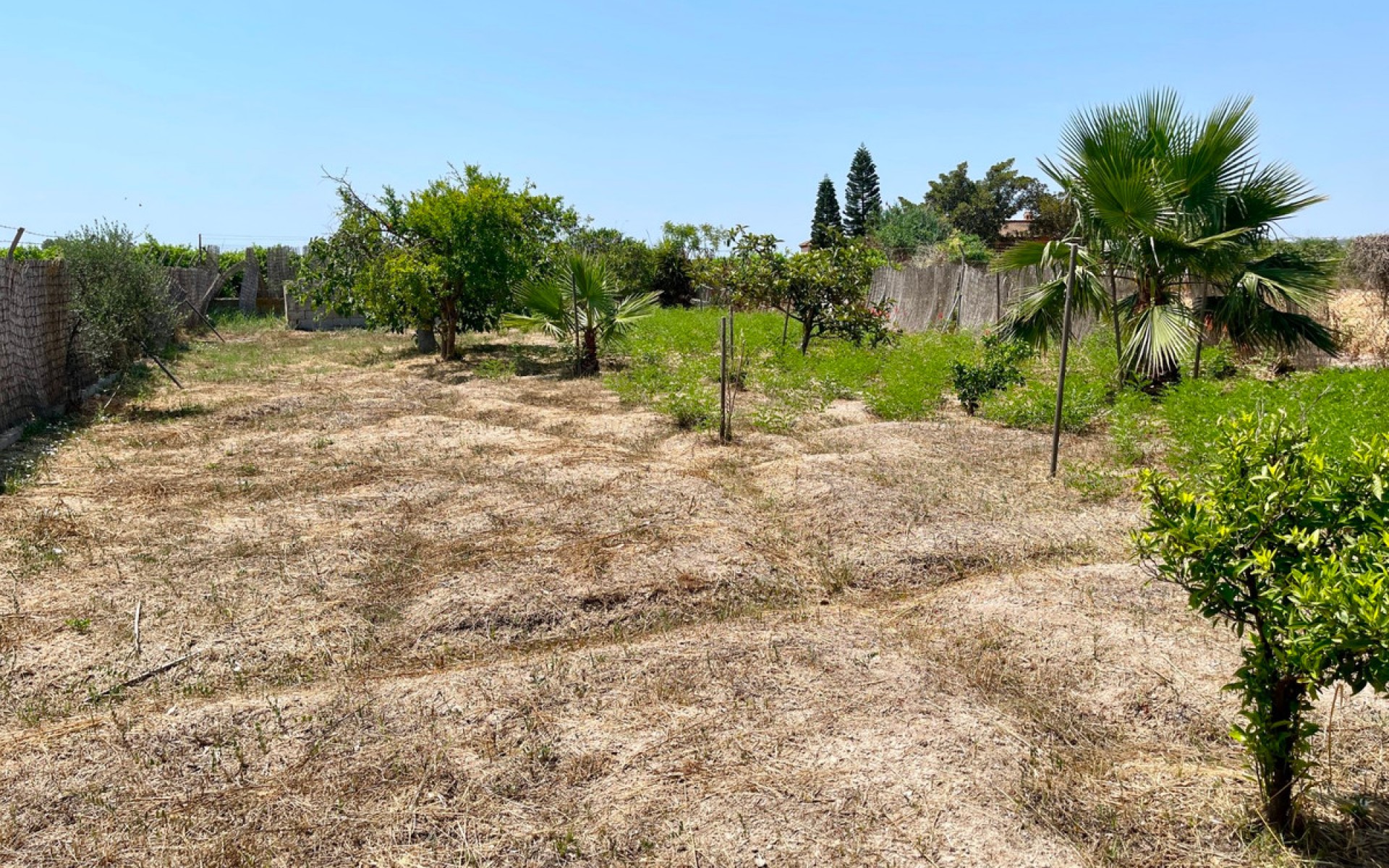Resale - Villa - Daya Nueva - Daya Nueva Centro