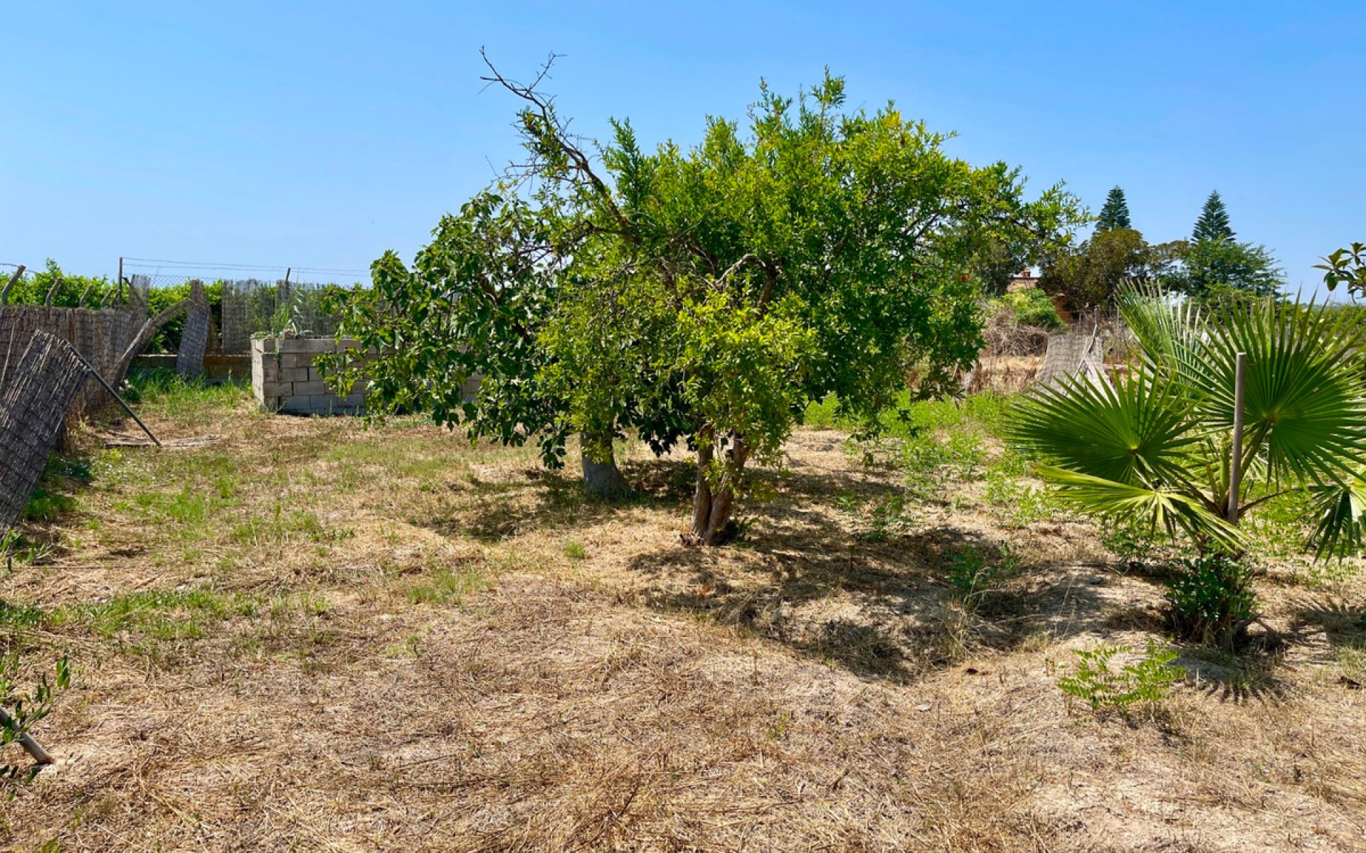 Resale - Villa - Daya Nueva - Daya Nueva Centro