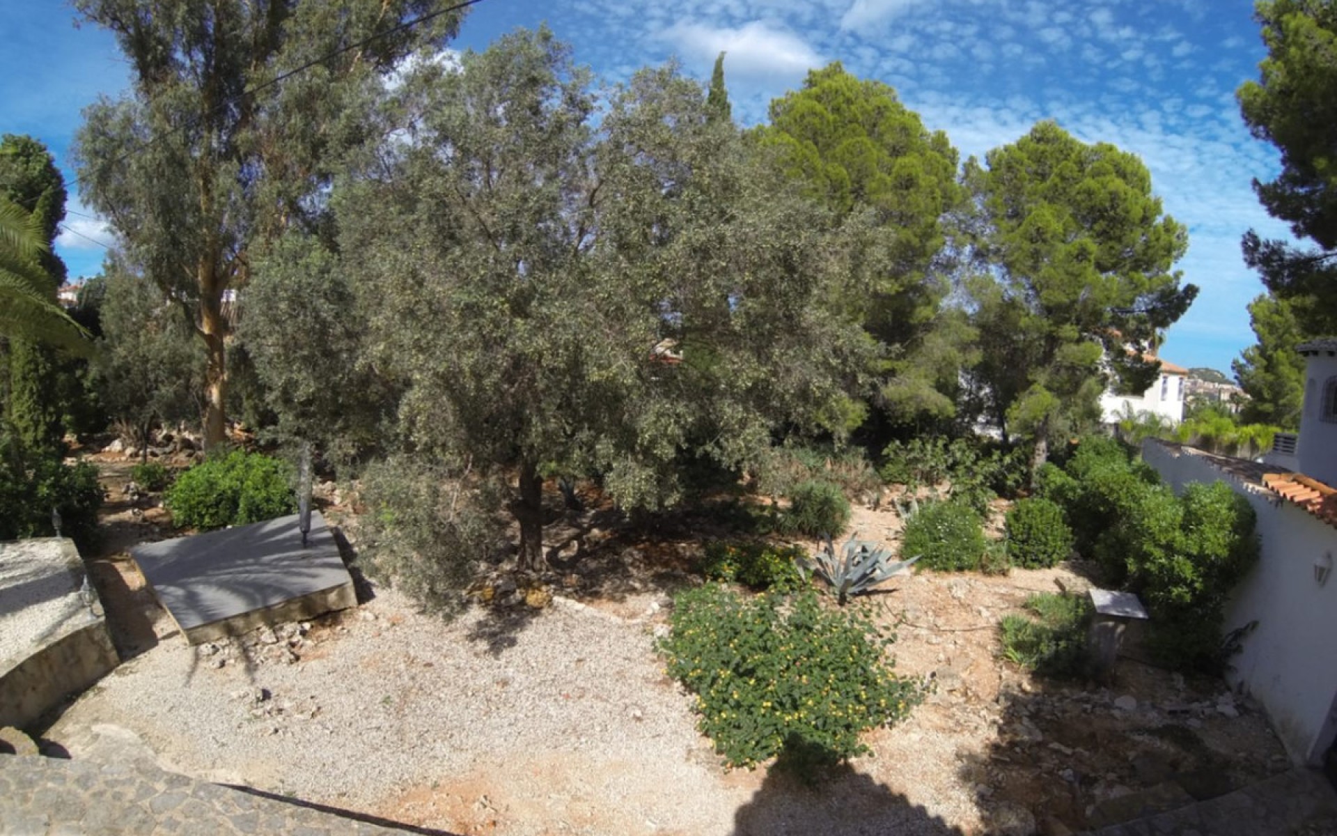 Resale - Villa - Dénia - Denia Centro