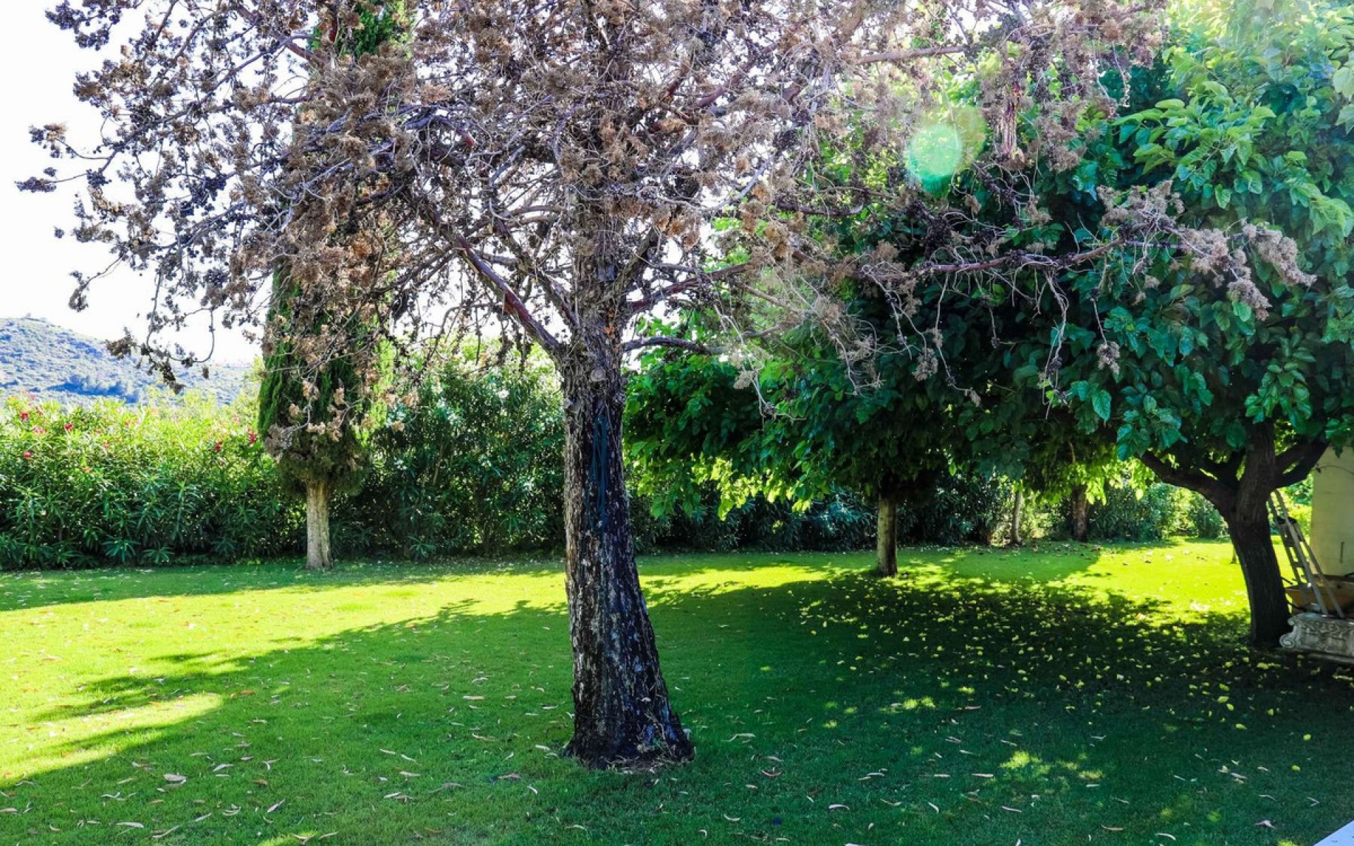Resale - Villa - Dénia - Jesús Pobre